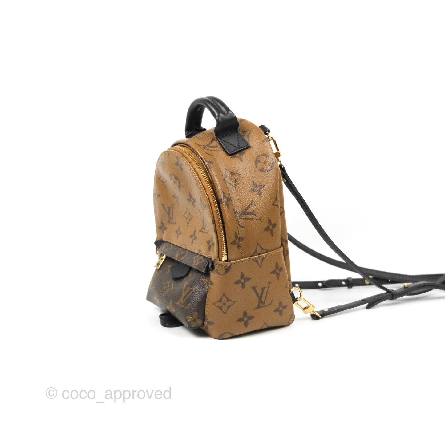Louis Vuitton Reverse Mini Palm Springs Backpack⁣