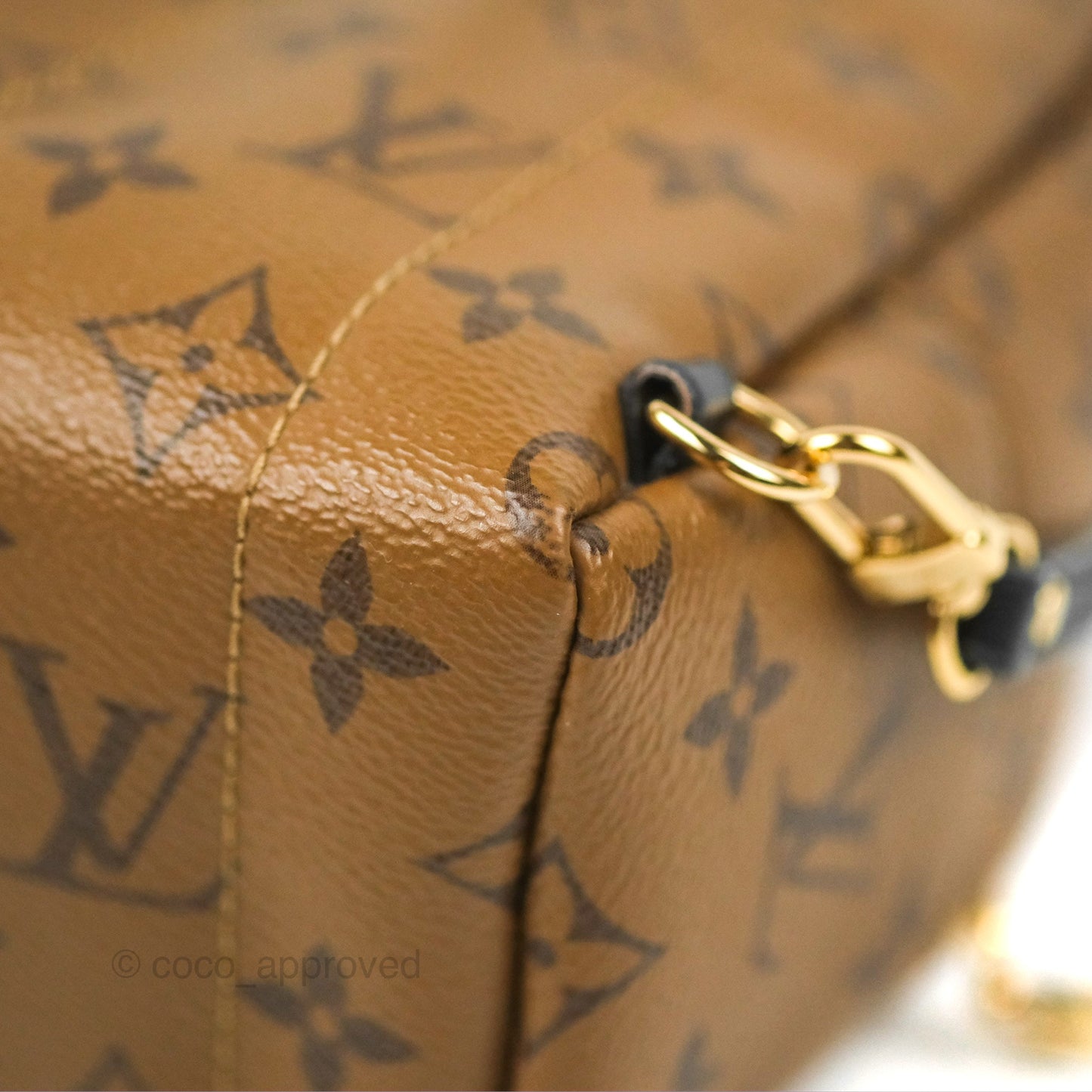 Louis Vuitton Reverse Mini Palm Springs Backpack⁣