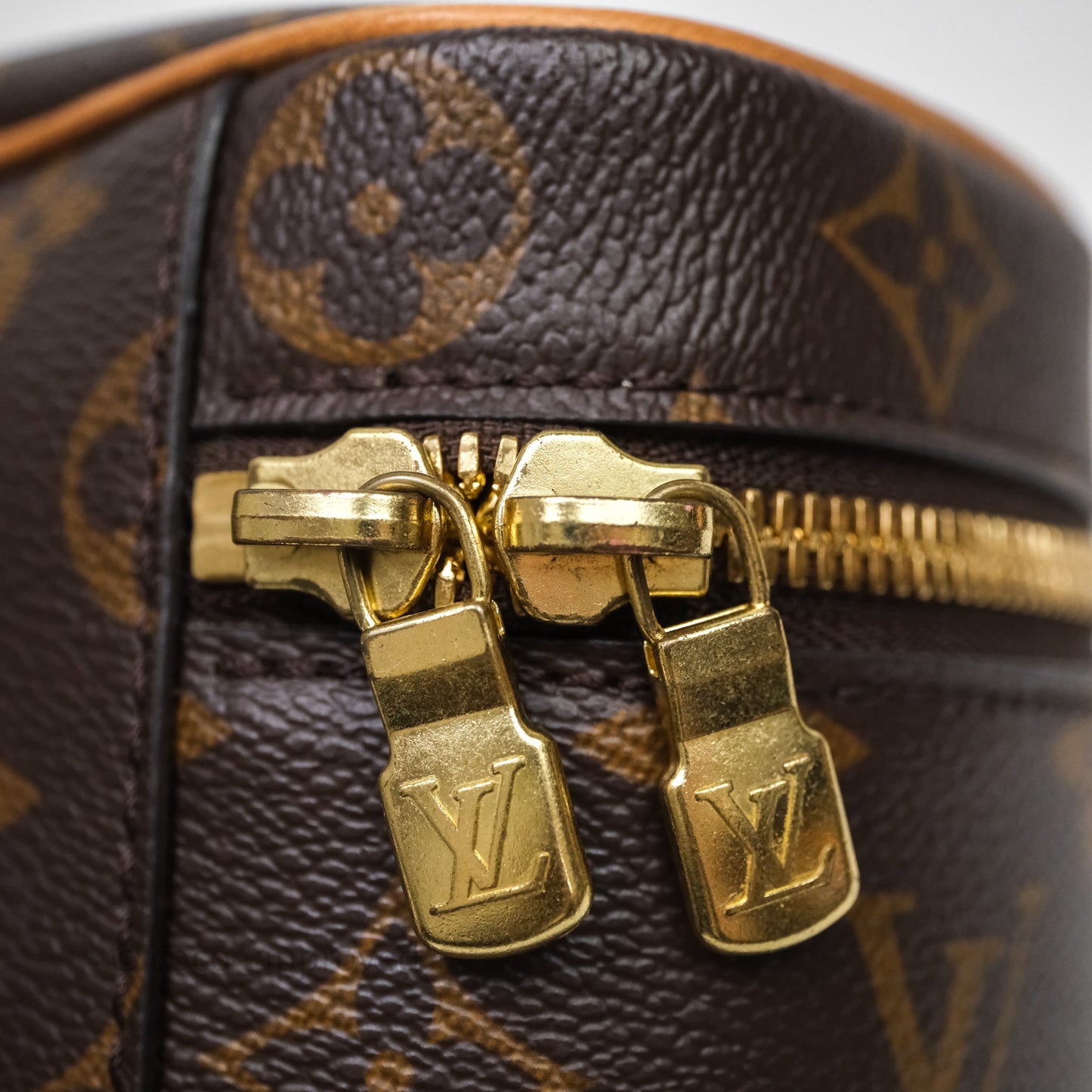 Louis Vuitton Nice Nano Monogram Canvas