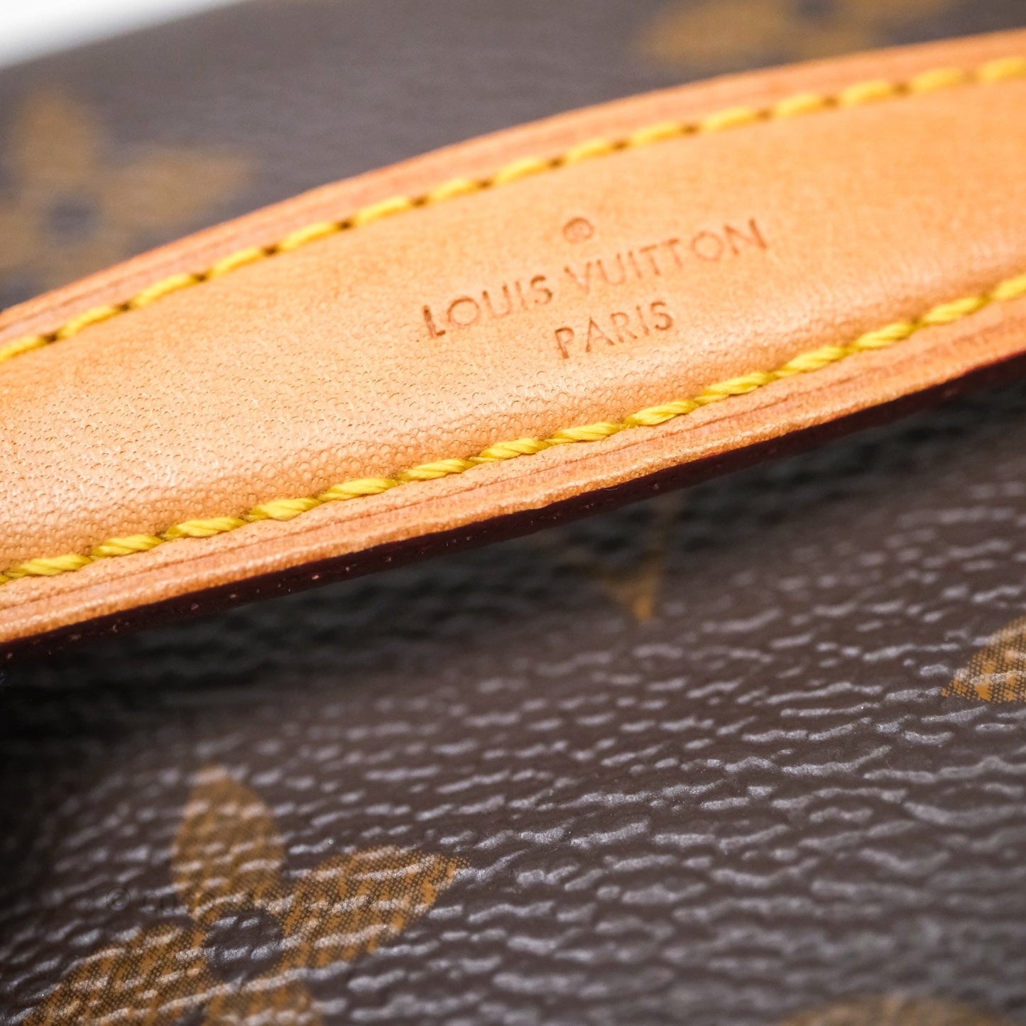 Louis Vuitton Nice Nano Monogram Canvas