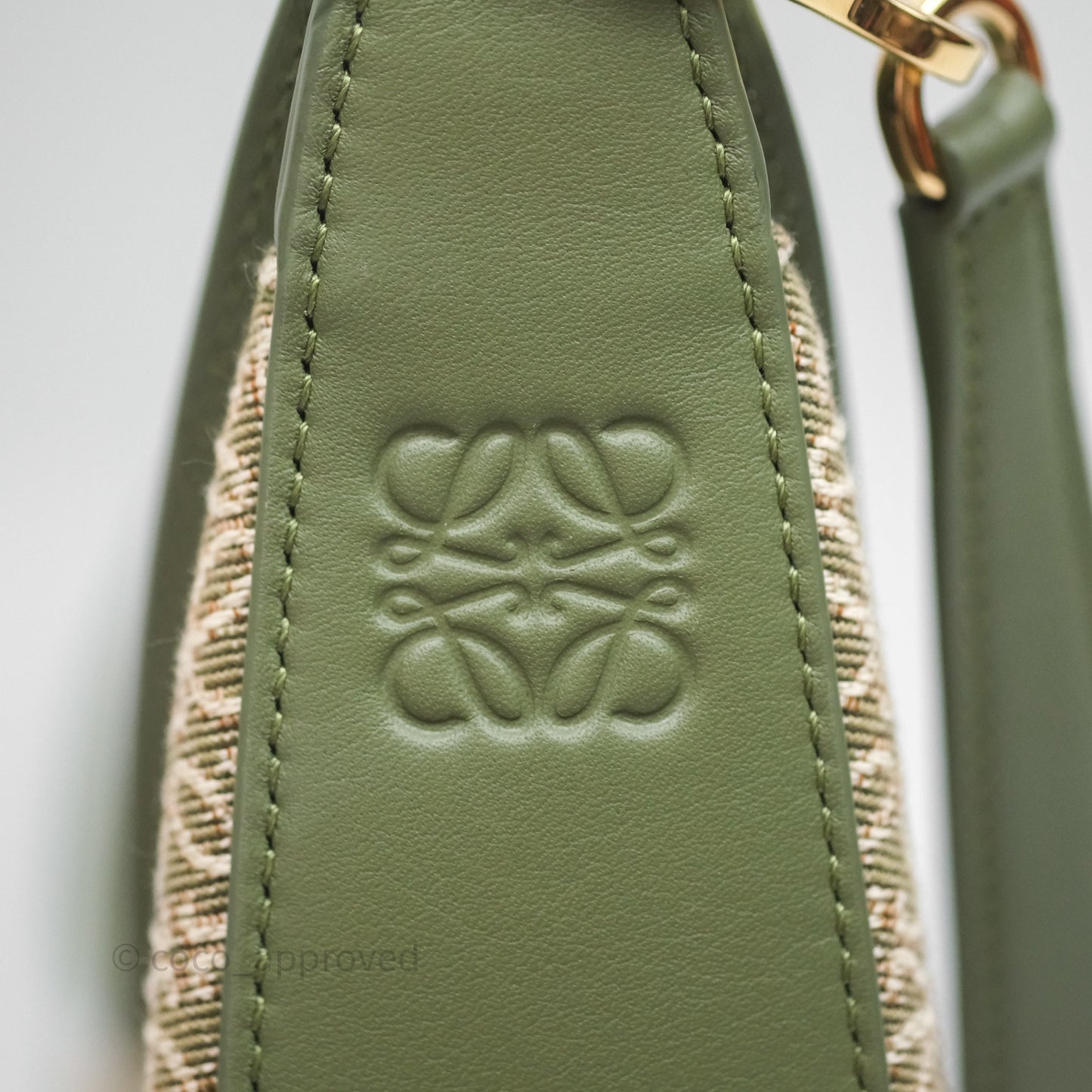 Loewe Small Luna Anagram Shoulder Bag Green Calfskin Jacquard