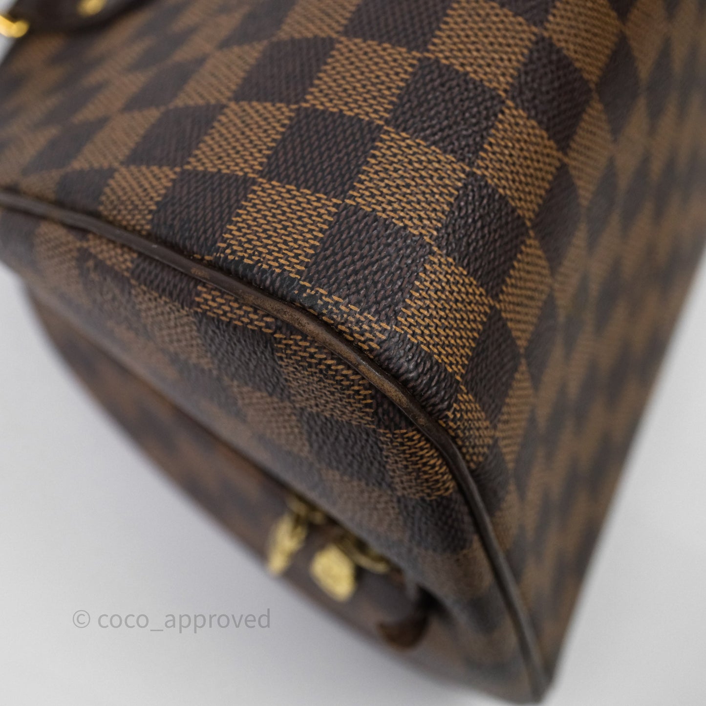 Louis Vuitton Ribera Damier Ebene Canvas