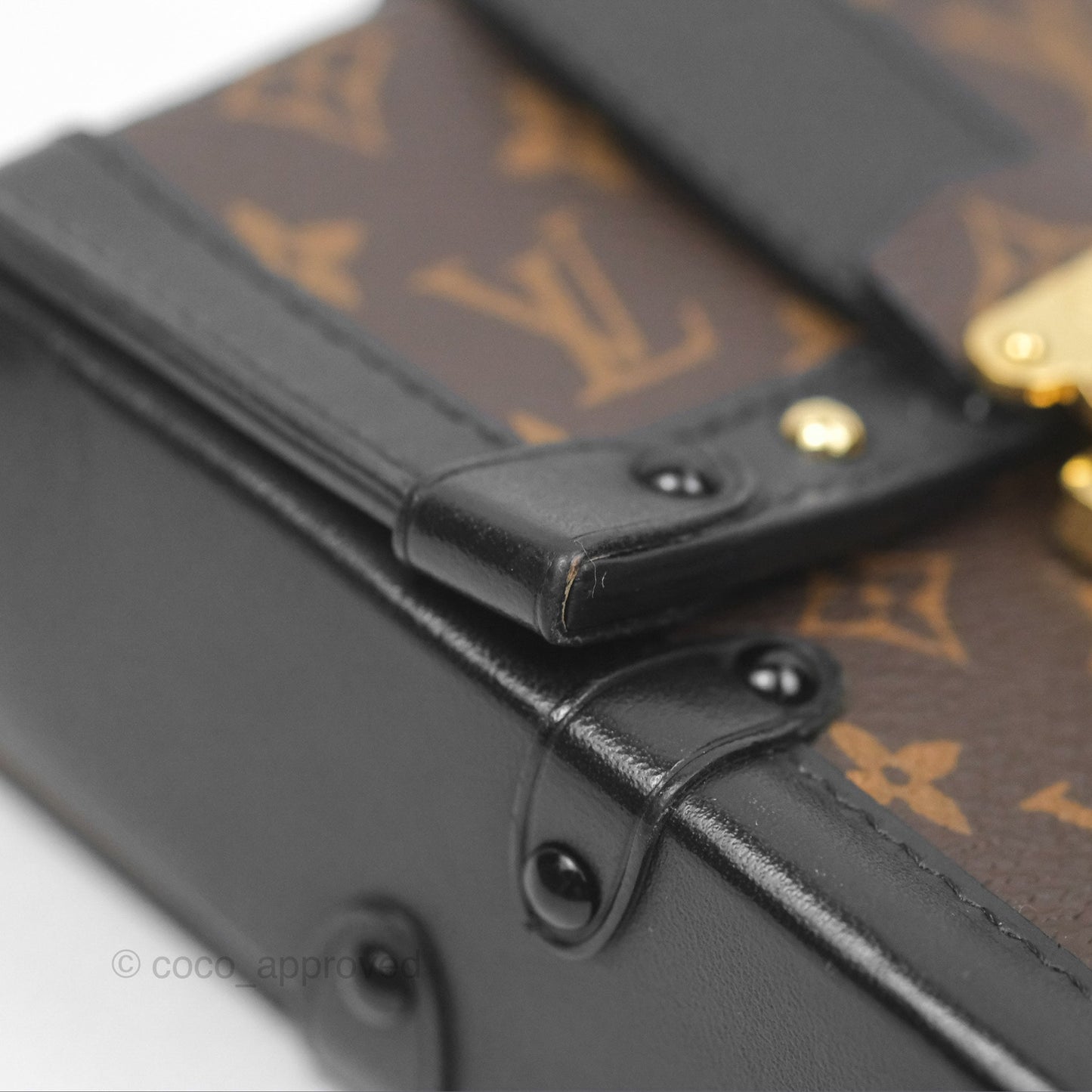 Louis Vuitton Monogram Vertical Trunk Pochette