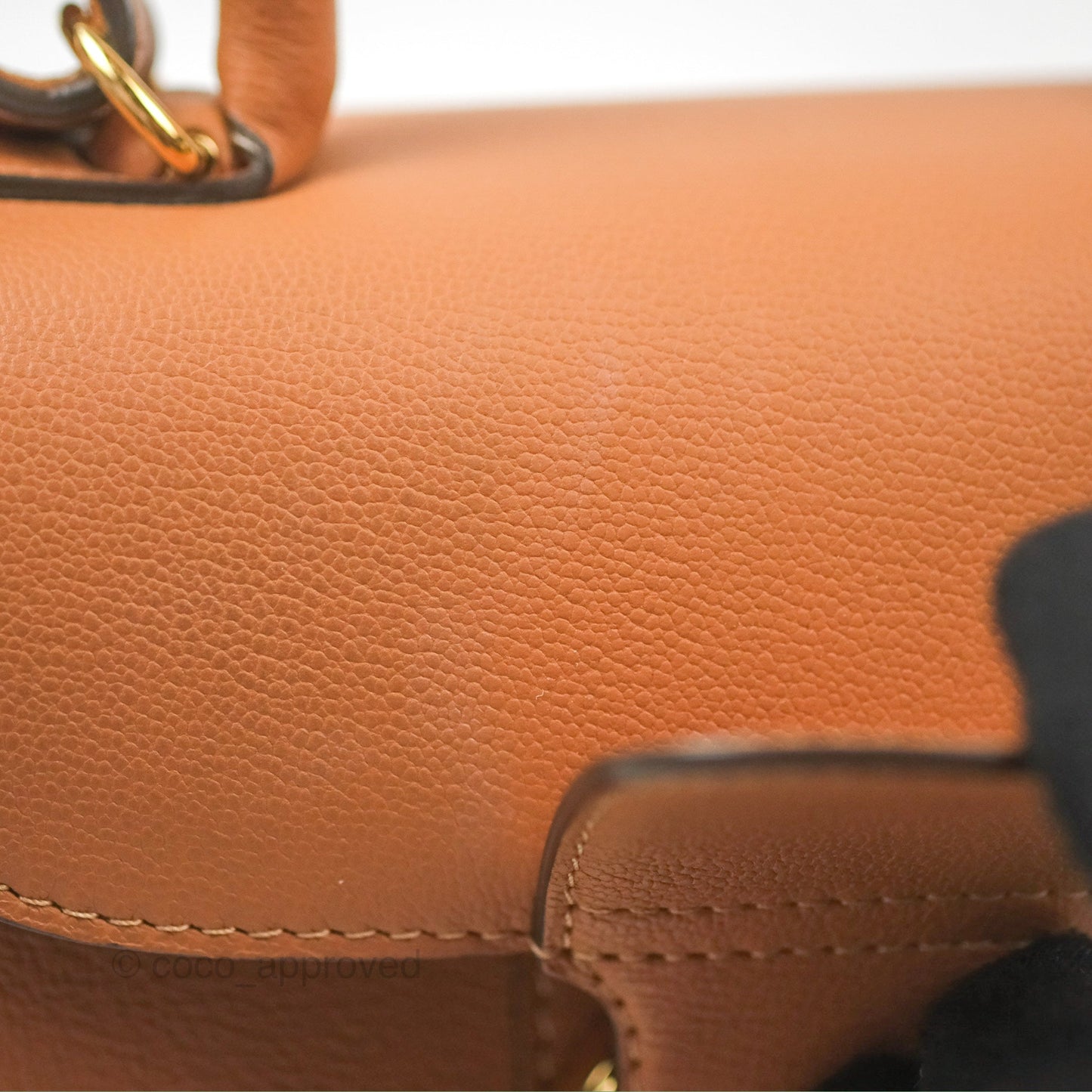 Delvaux Mini Brillant Bag Vegetal Rodeo Calf Gold Hardware