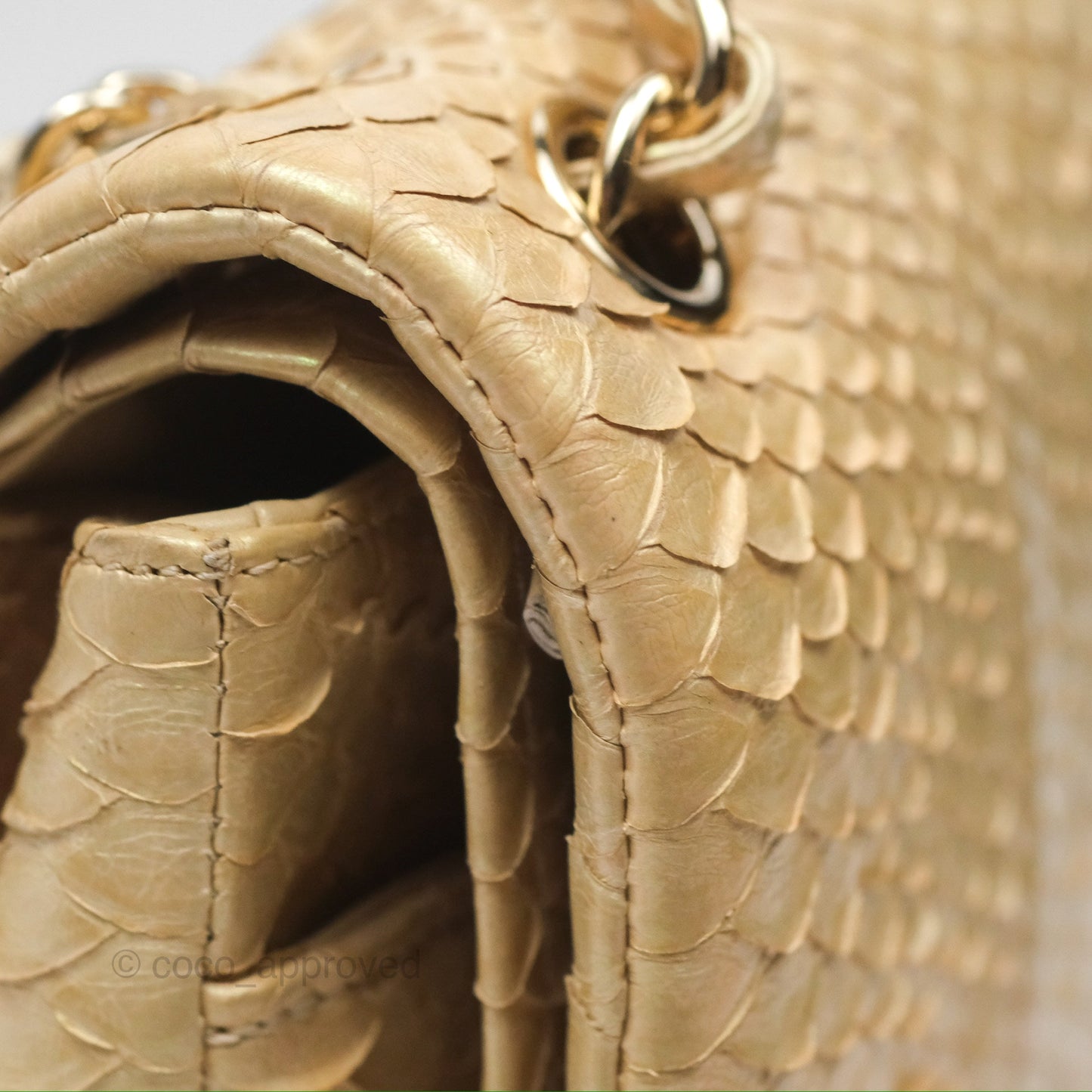 Chanel Jumbo Double Flap Iridescent Gold Python Gold Hardware⁣⁣