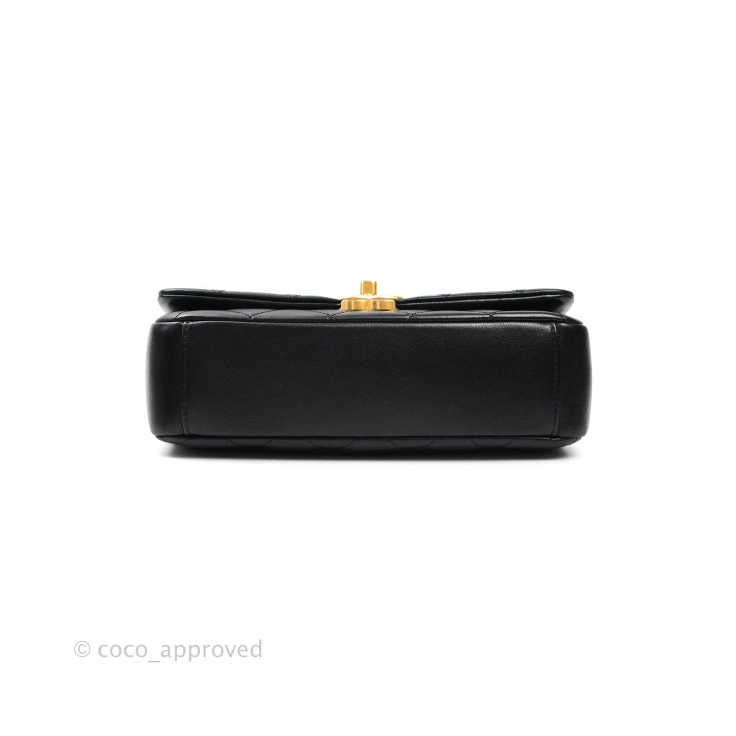Chanel Leather Entwined Chain Bag Black Shiny Lambskin Aged Gold Hardware