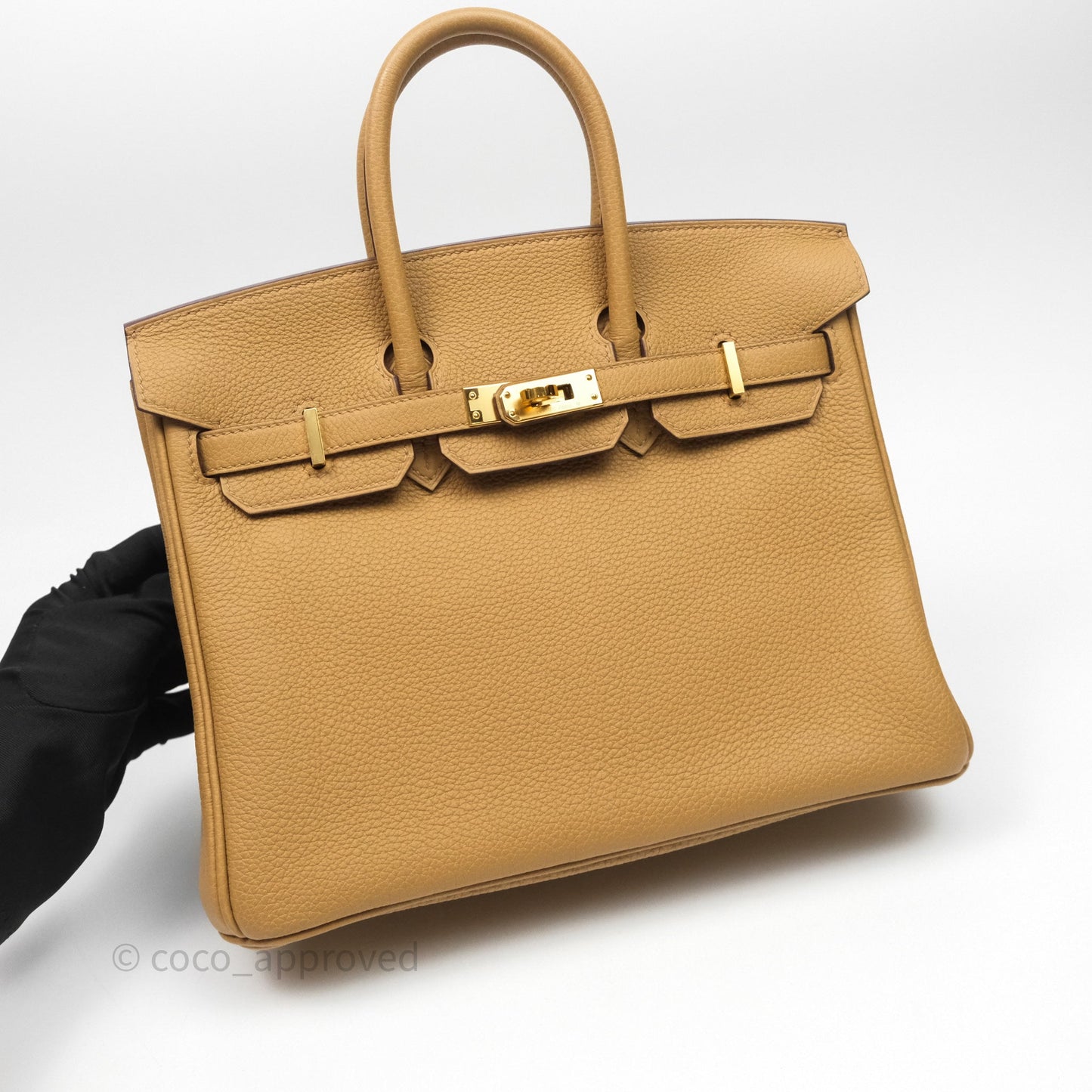 Hermès Birkin 25 Retourne Biscuit 4B Togo Gold Hardware