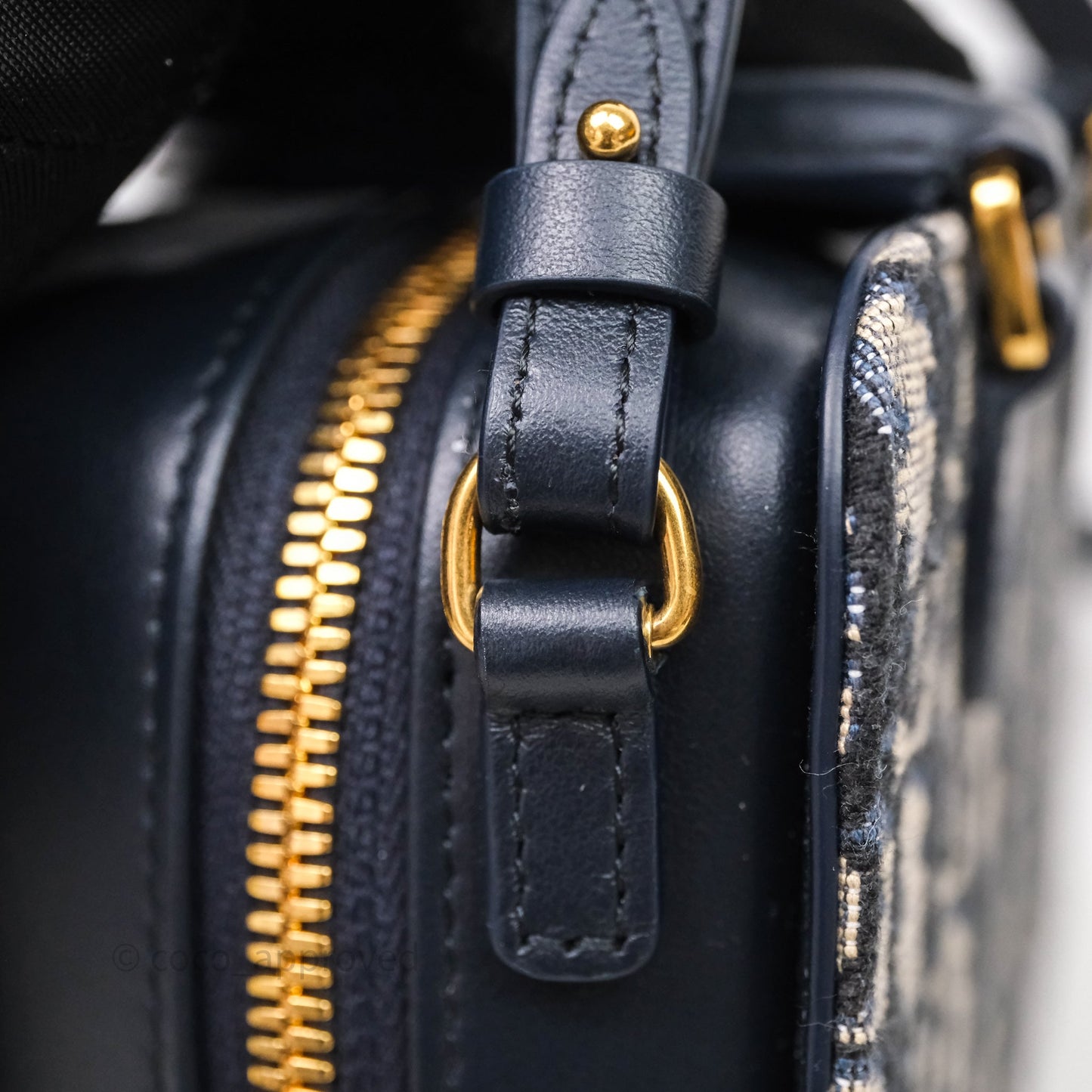 Christian Dior 30 Montaigne Doctor Mini Bag