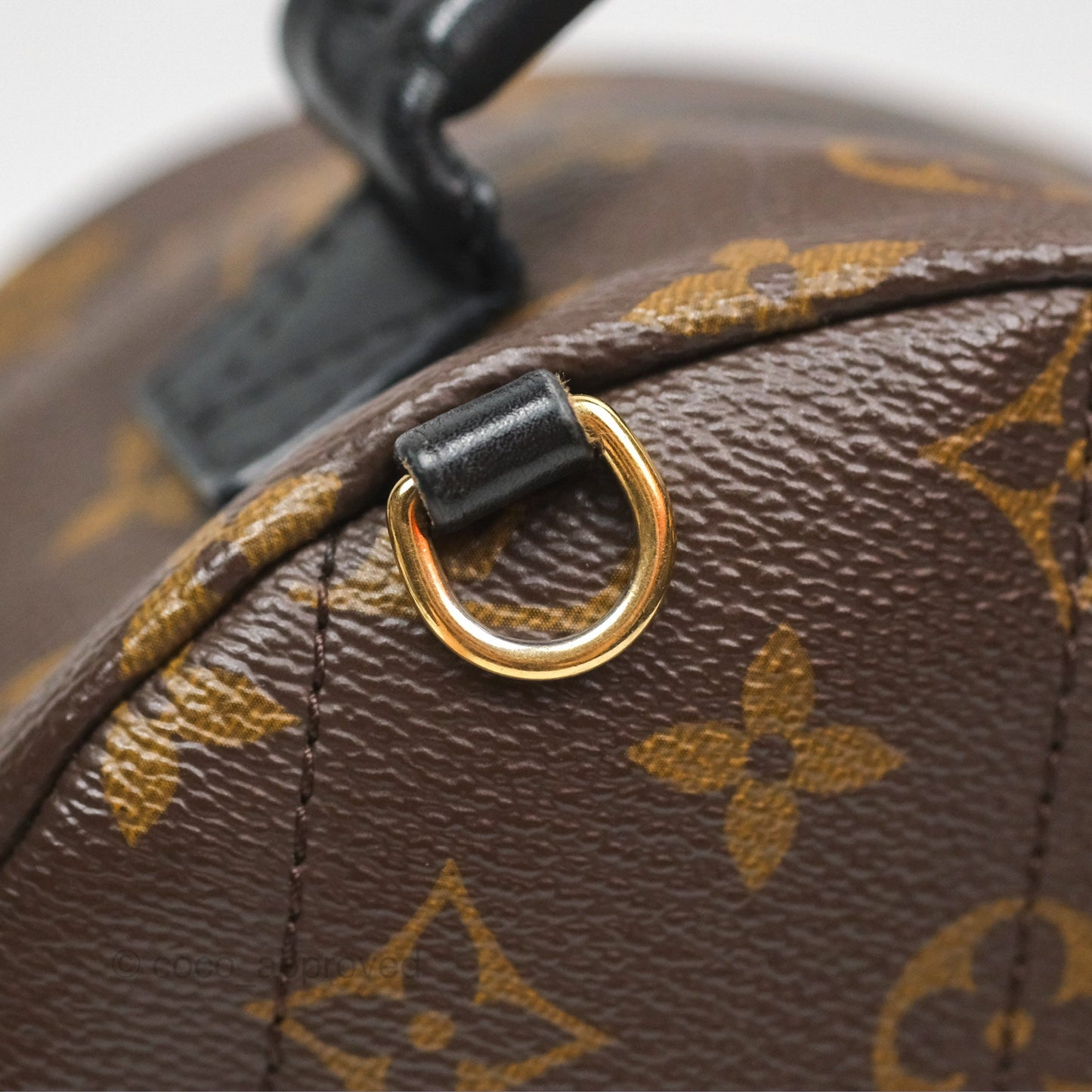 Louis Vuitton Mini Palm Springs Backpack⁣ Monogram
