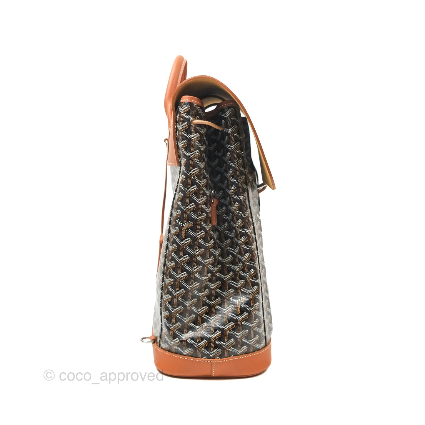 Goyard Alpin MM Backpack Black/ Tan