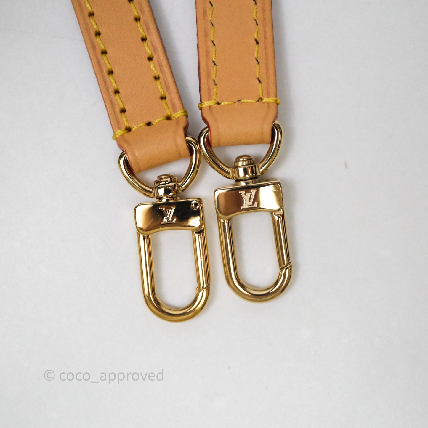 Louis Vuitton Nano Noe Monogram Canvas