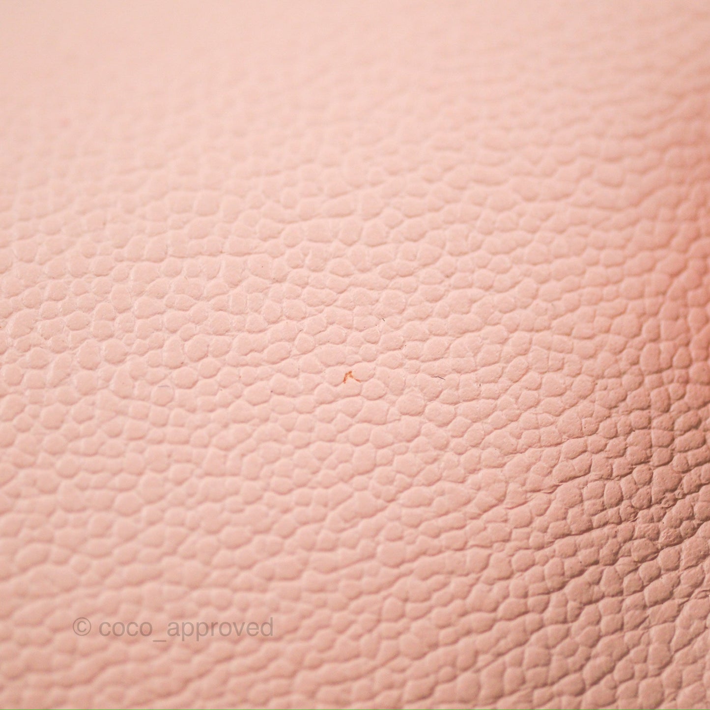 Delvaux Brillant East West Top Handle Bag Nude Pink Rose Gold Hardware
