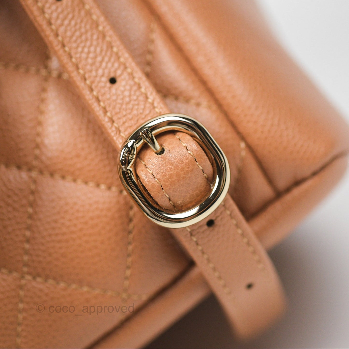Chanel Duma Backpack Medium Dark Beige Caviar Gold Hardware