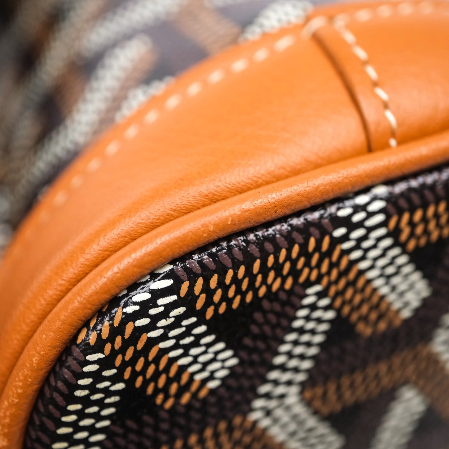 Goyard Mini Alpin Backpack Black/ Tan  Goyardine Calfskin