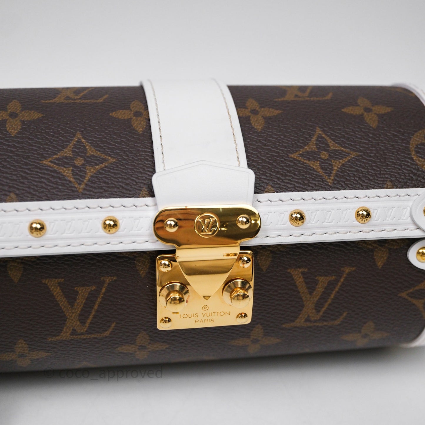 Louis Vuitton Monogram Papillon Trunk Bag
