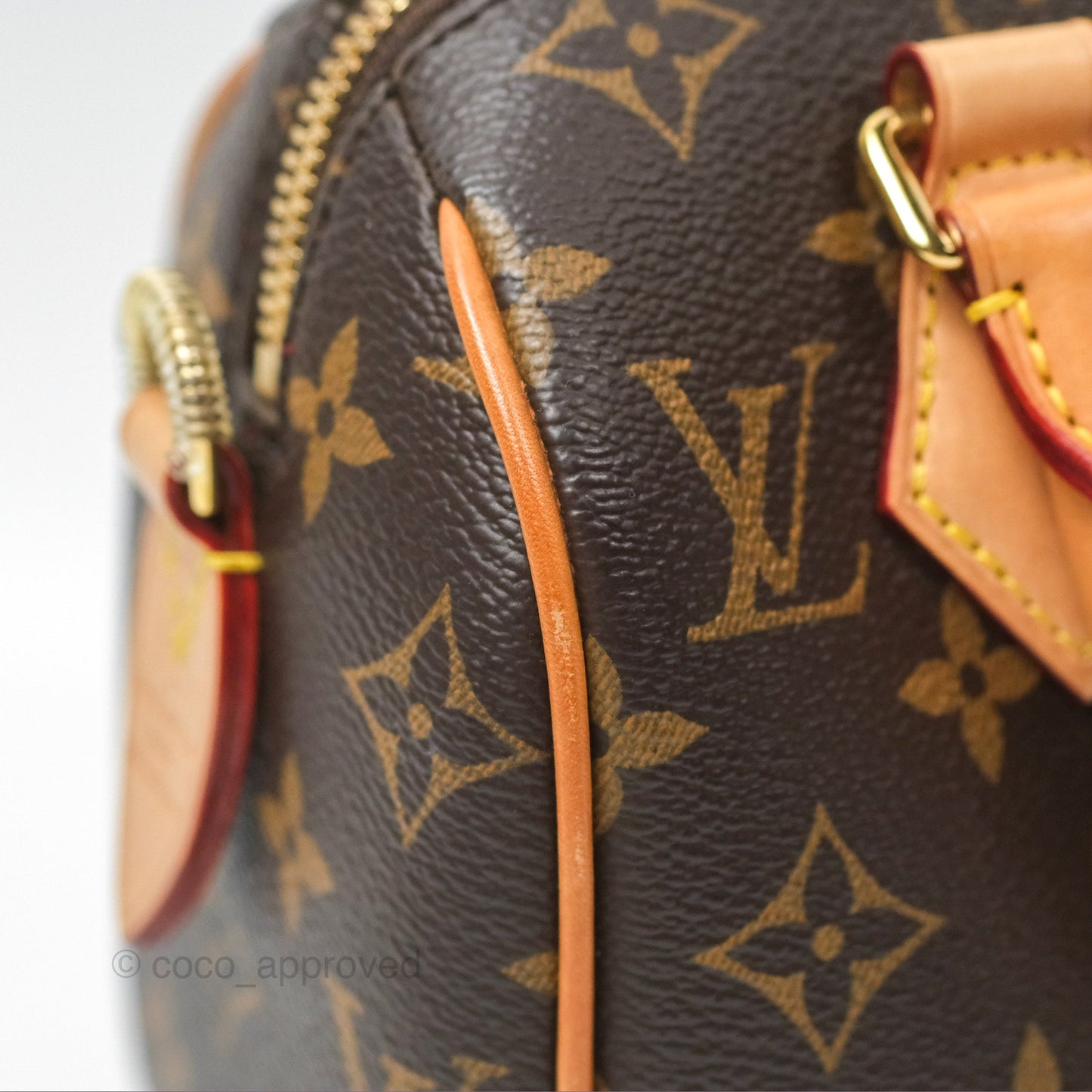 Louis Vuitton Speedy Bandoulière 20 Monogram