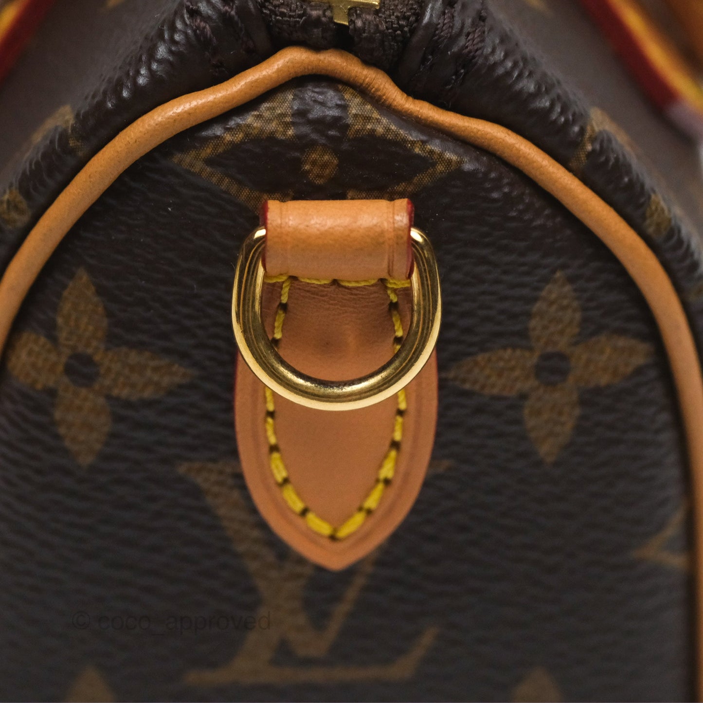 Louis Vuitton Nano Speedy Monogram