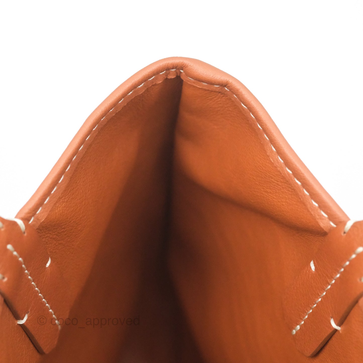 Goyard Anjou Mini Bag Goyardine Canvas Black/ Tan