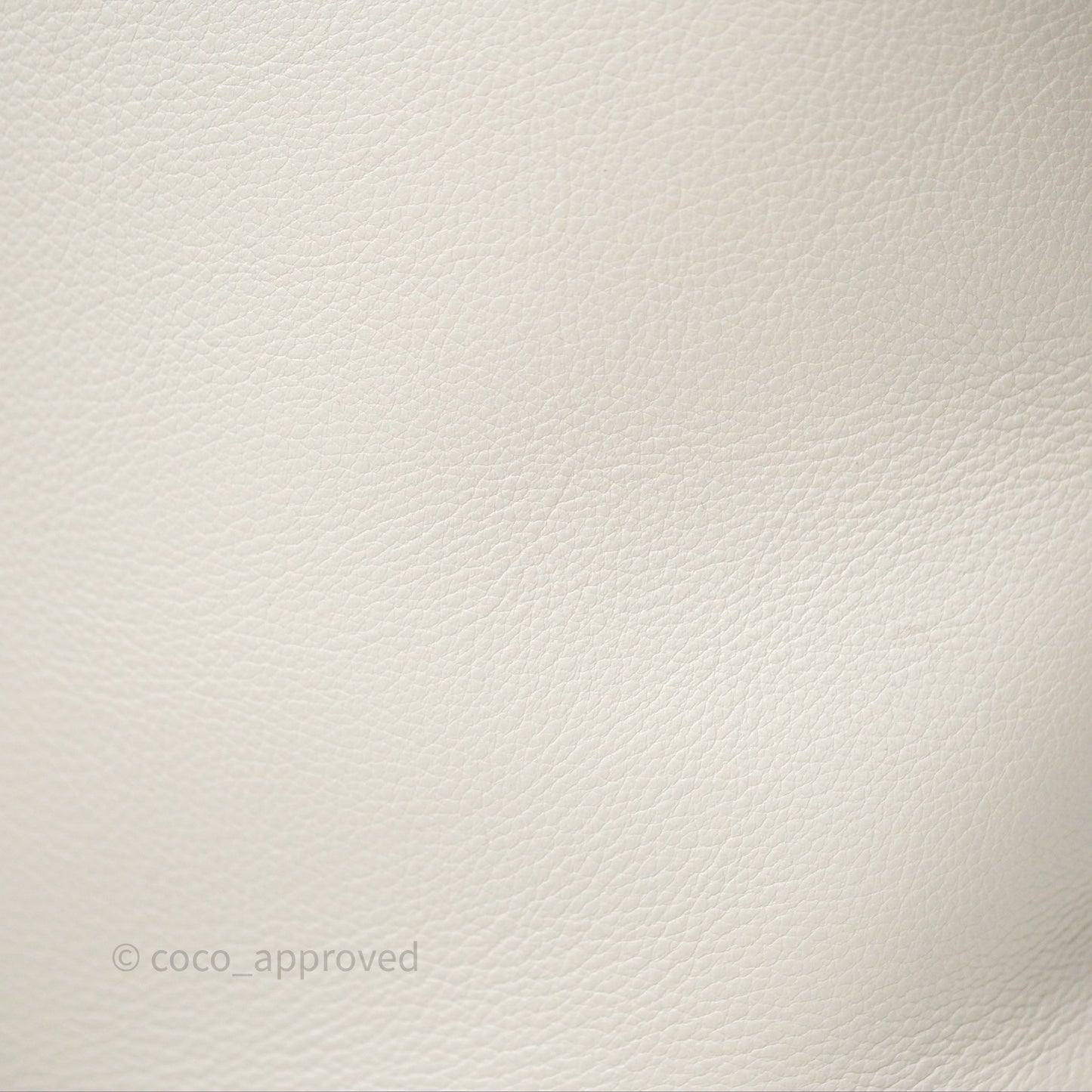 Loewe Gate Bucket Handle Bag Soft White Grained Calfskin