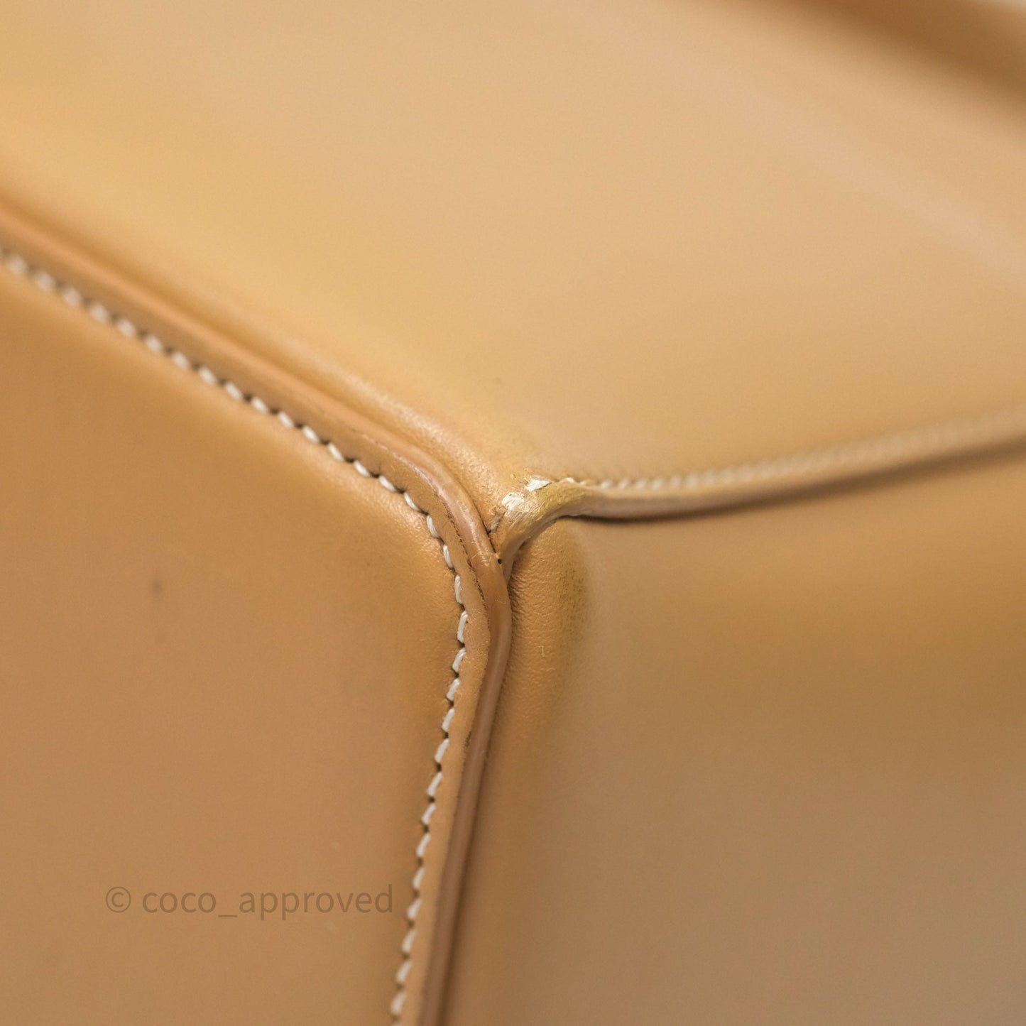 Loro Piana Extra Bag L27 Light Bamboo Calfskin Gold Hardware