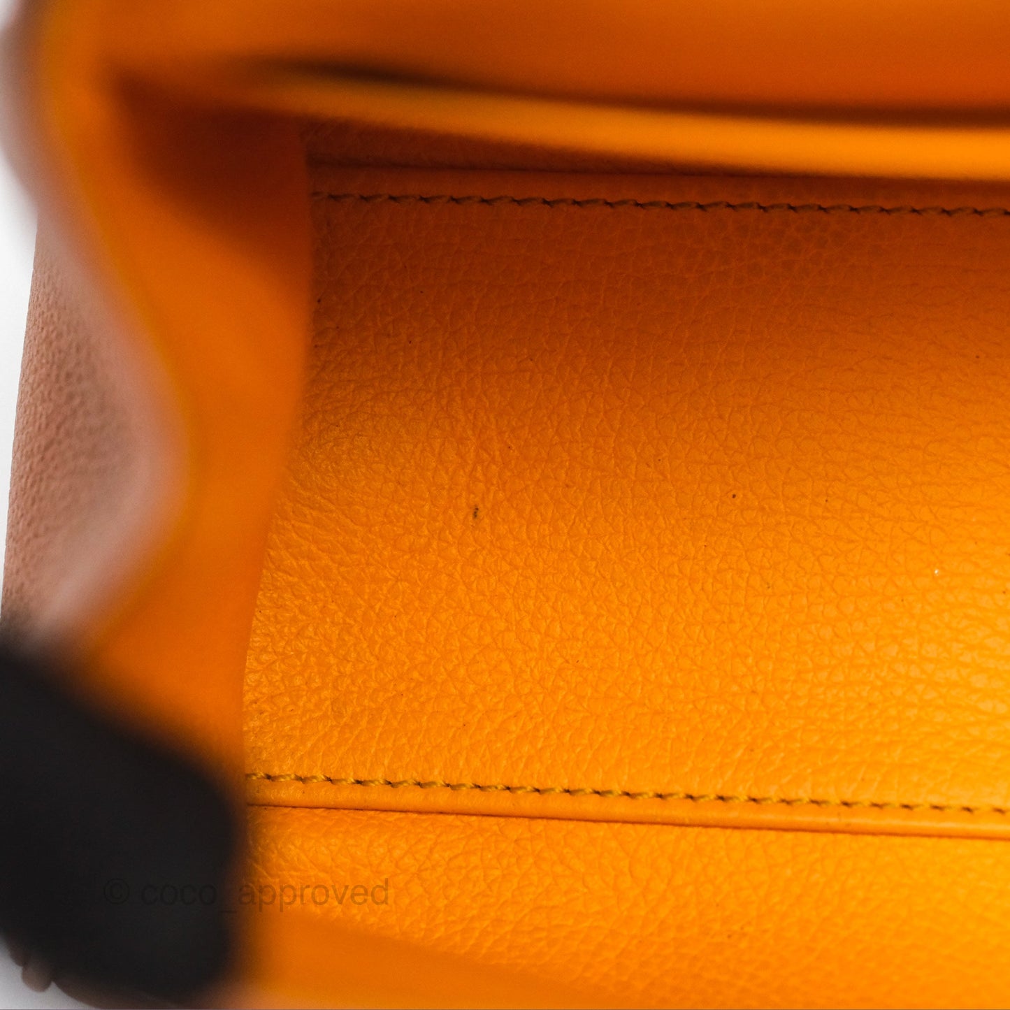 Goyard Saïgon Mini Bag Tan Goyardine Canvas/Chevroches Calfskin