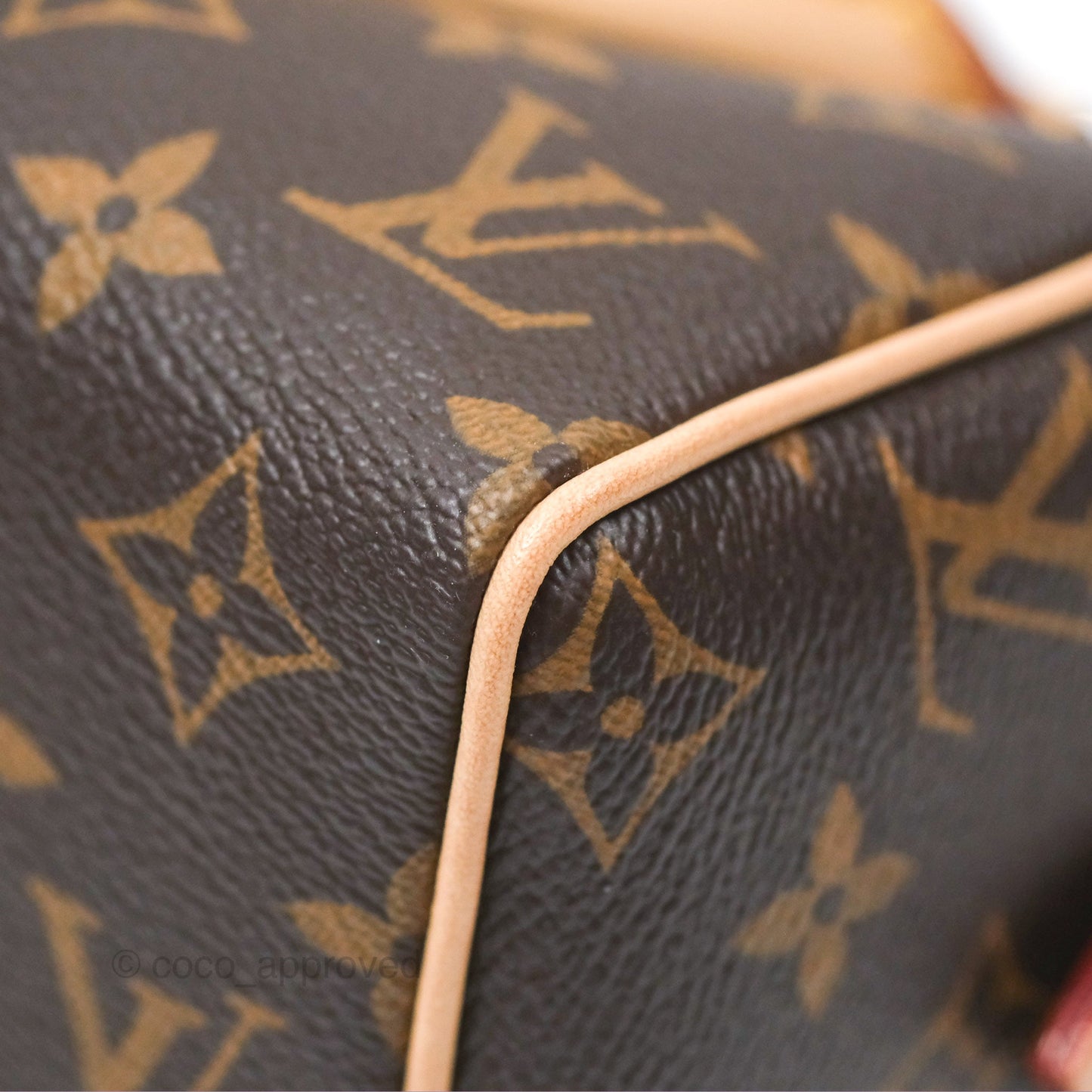 Louis Vuitton Speedy Bandoulière 20 Monogram