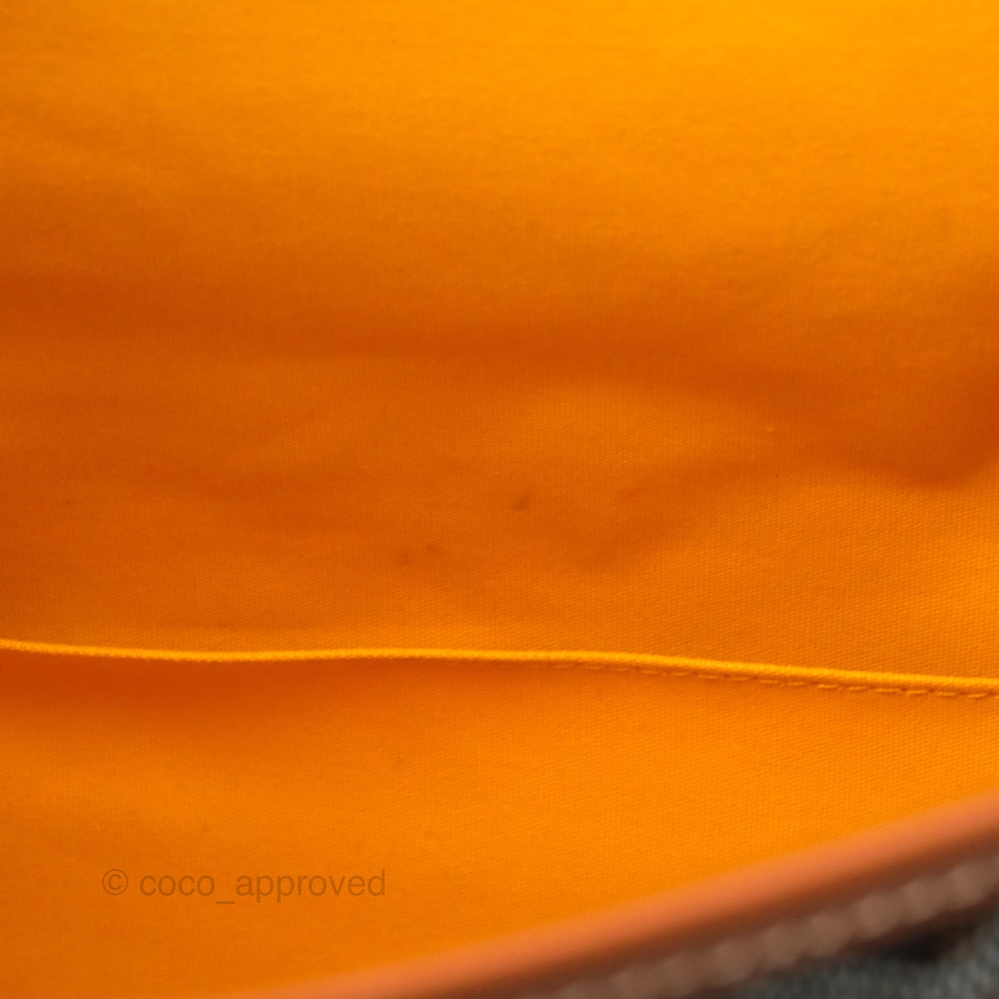 Goyard Saint Léger Backpack Black/ Tan