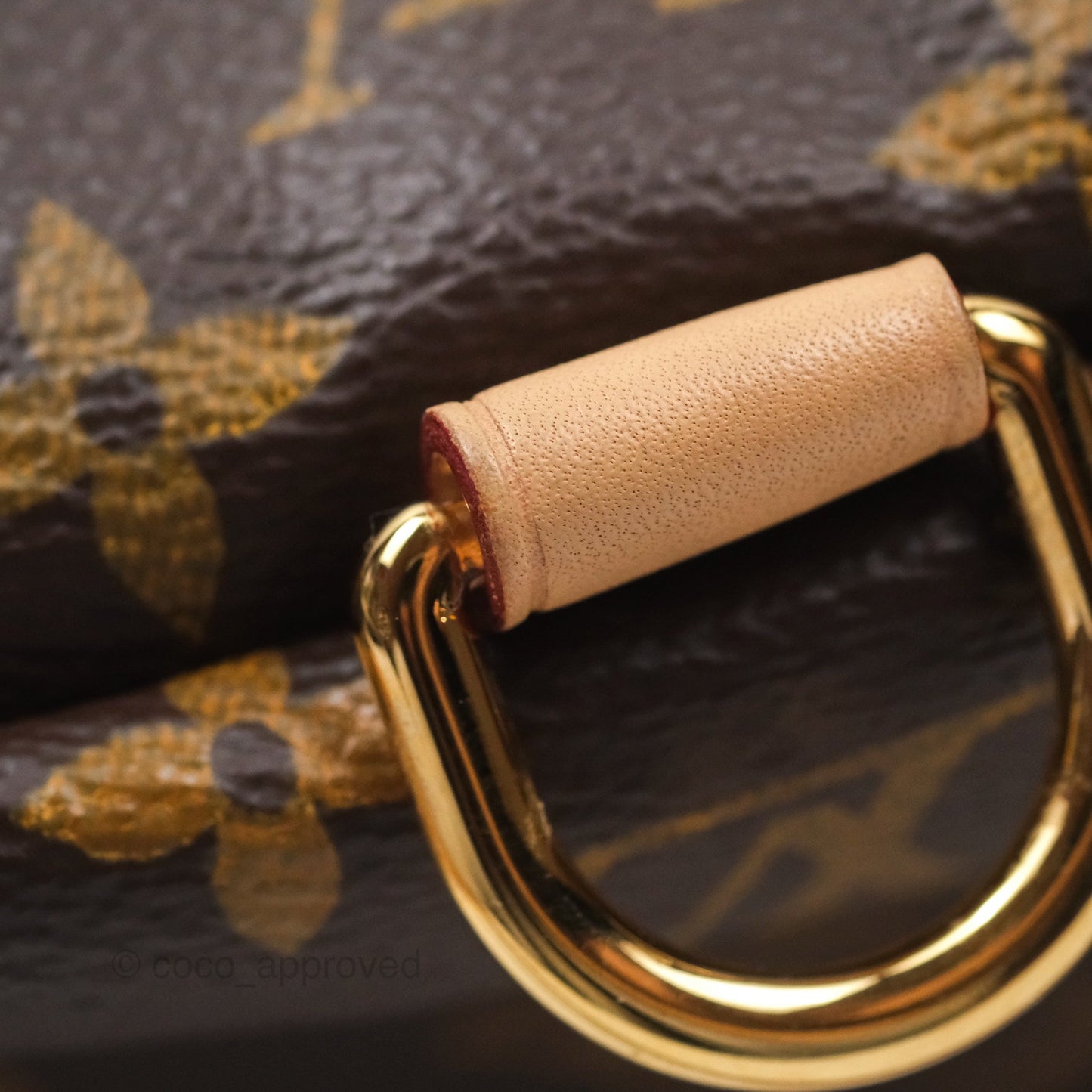 Louis Vuitton Bum Bag Monogram Canvas
