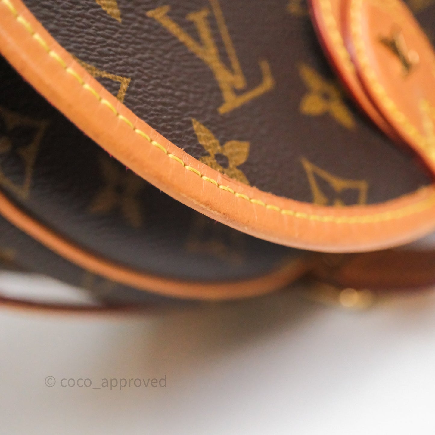 Louis Vuitton Tambourin Monogram Canvas Bag