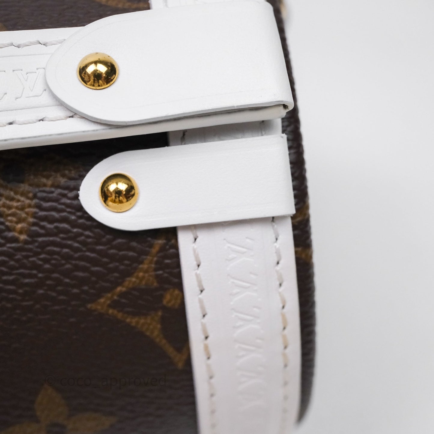 Louis Vuitton Monogram Papillon Trunk Bag