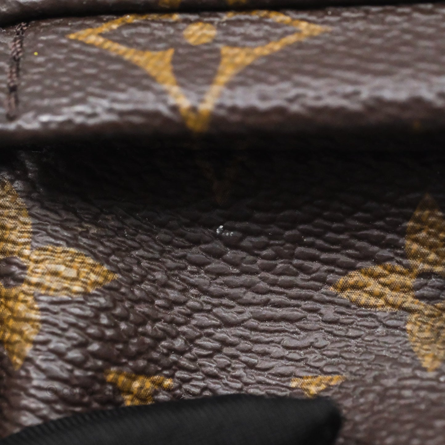 Louis Vuitton Mini Palm Springs Backpack⁣ Monogram