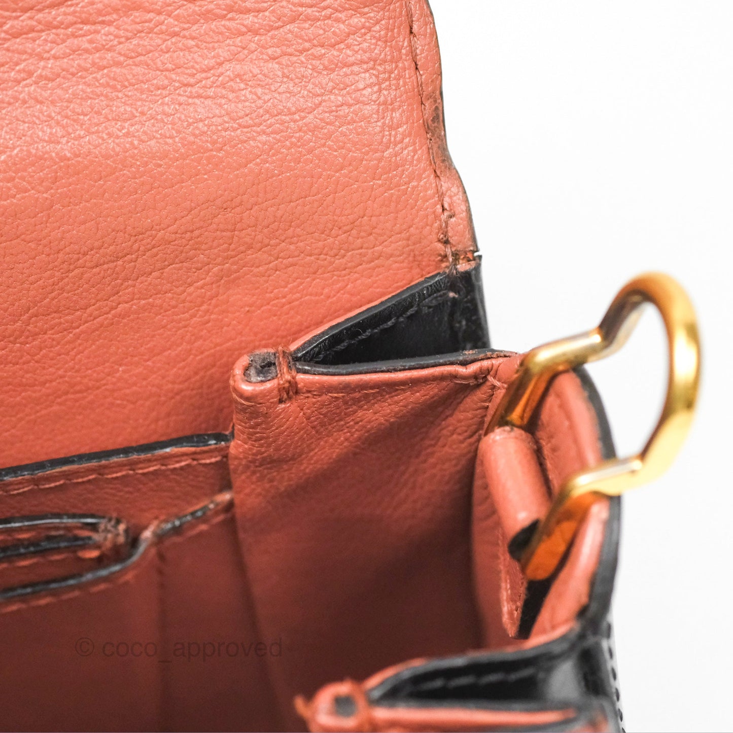 Louis Vuitton Vivienne Bag Brick Red Black