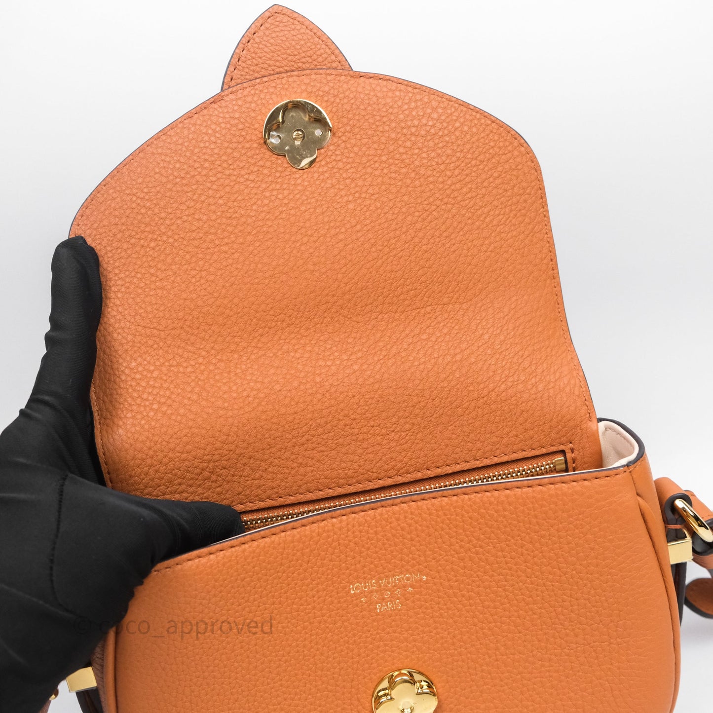 Louis Vuitton Pont 9 Soft PM Brown Grained Calfskin Gold Hardware