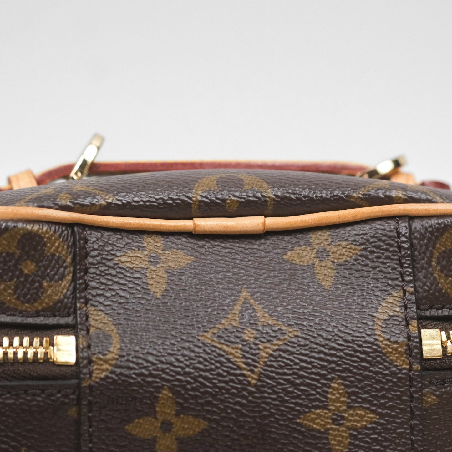 Louis Vuitton Nano Nice Monogram