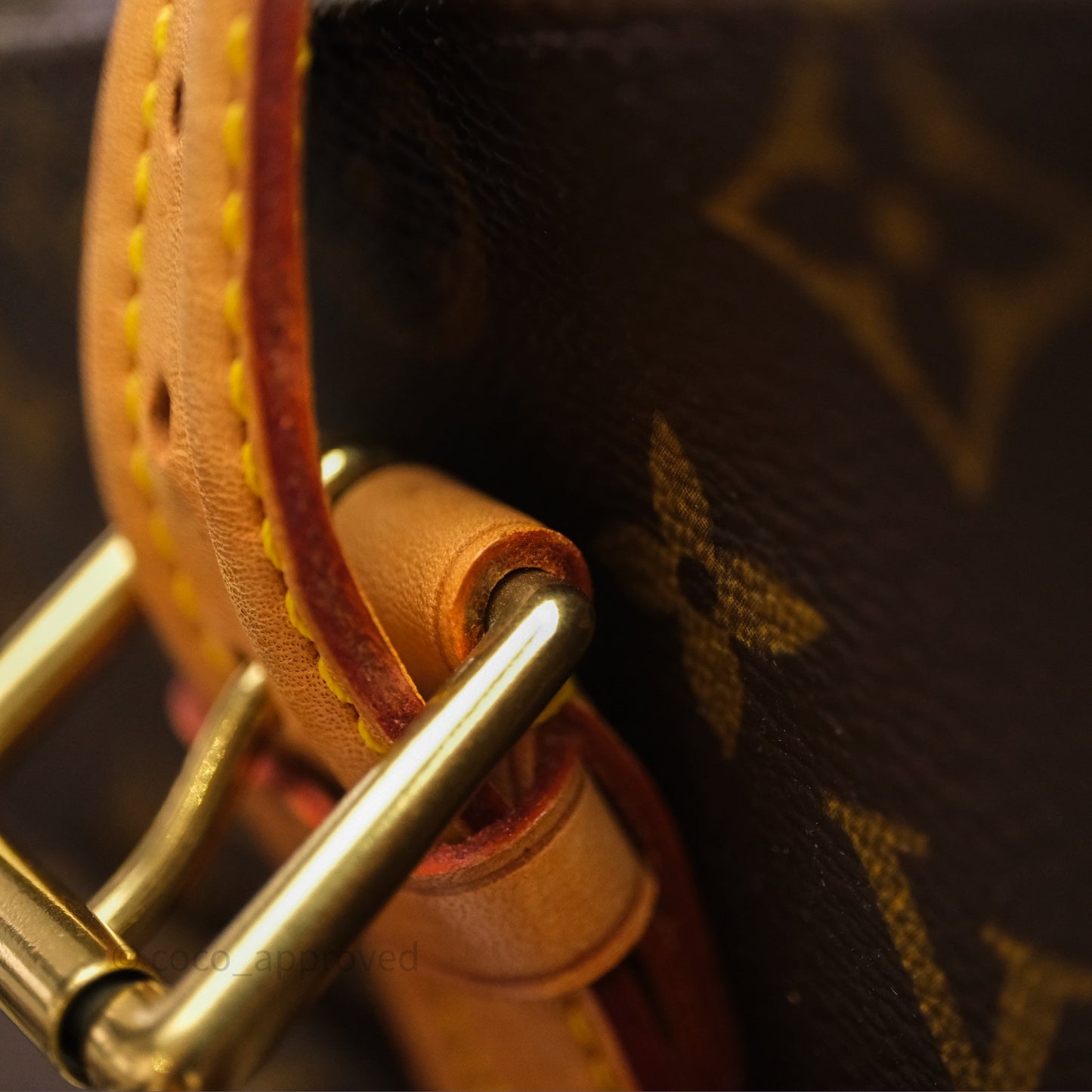 Louis Vuitton Multipli-Cite Tote Monogram Canvas