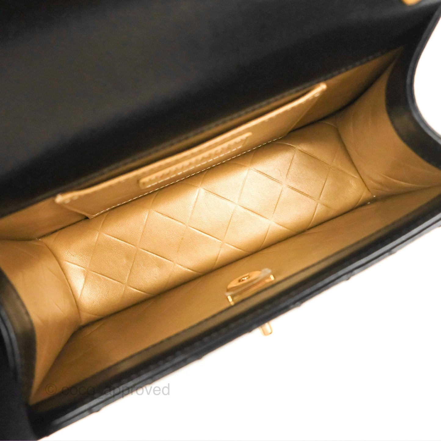 Chanel Mini Diana Flap Bag Black Calfskin Aged Gold Hardware 21B