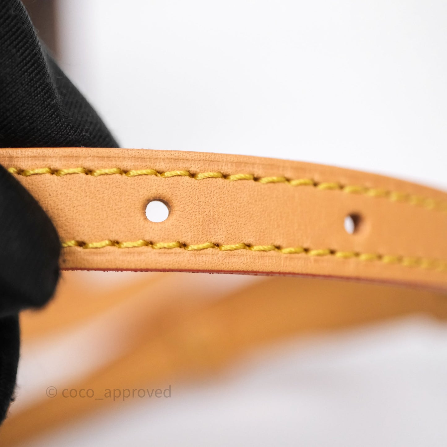 Louis Vuitton Nano Noe Monogram