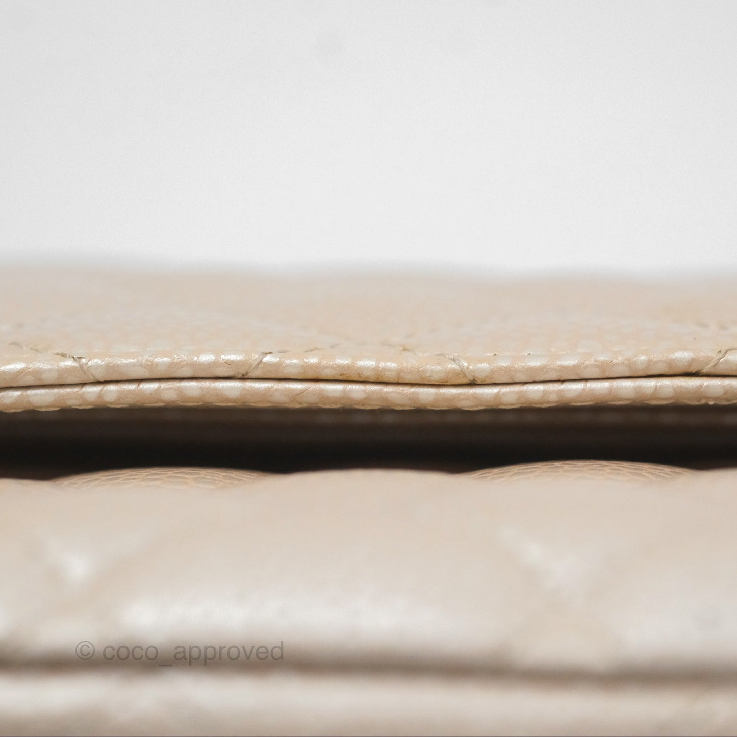 Chanel Classic M/L Medium Double Flap Iridescent Pearly Caviar Aged Gold Hardware⁣⁣