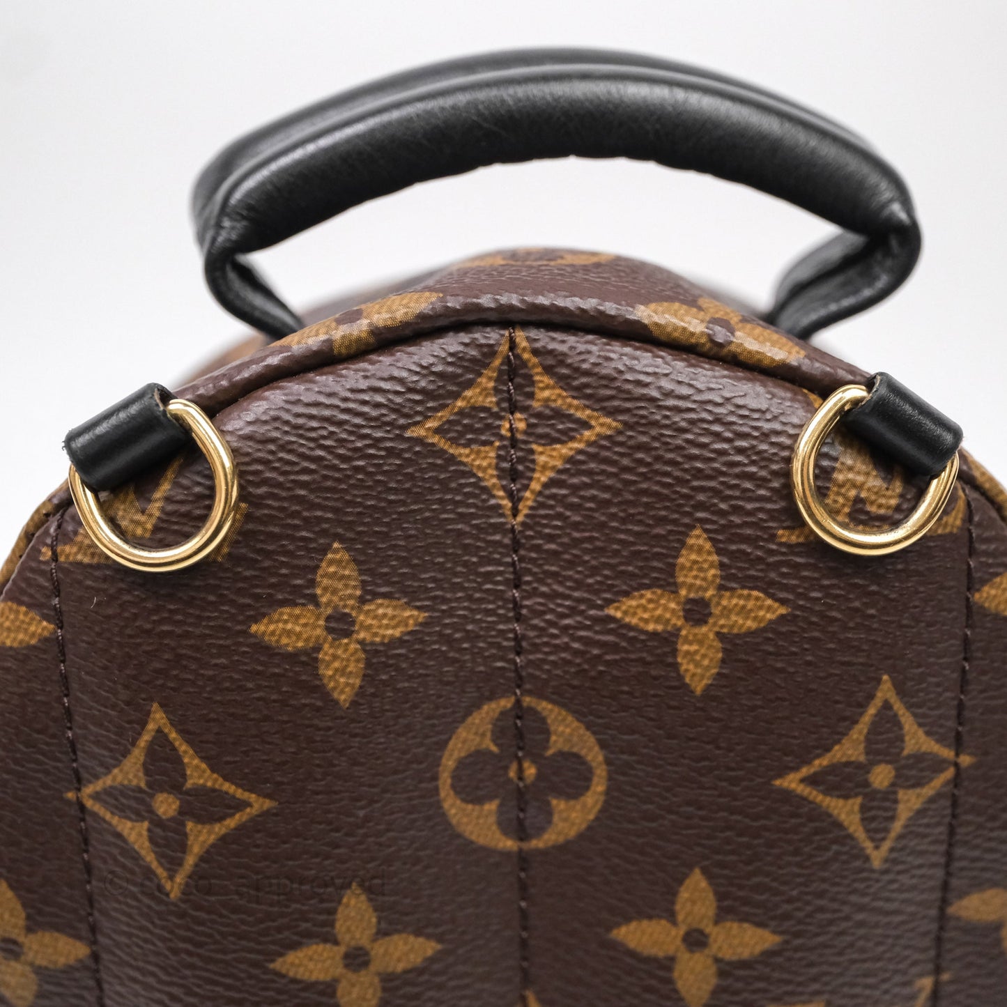 Louis Vuitton Mini Palm Springs Backpack⁣ Monogram