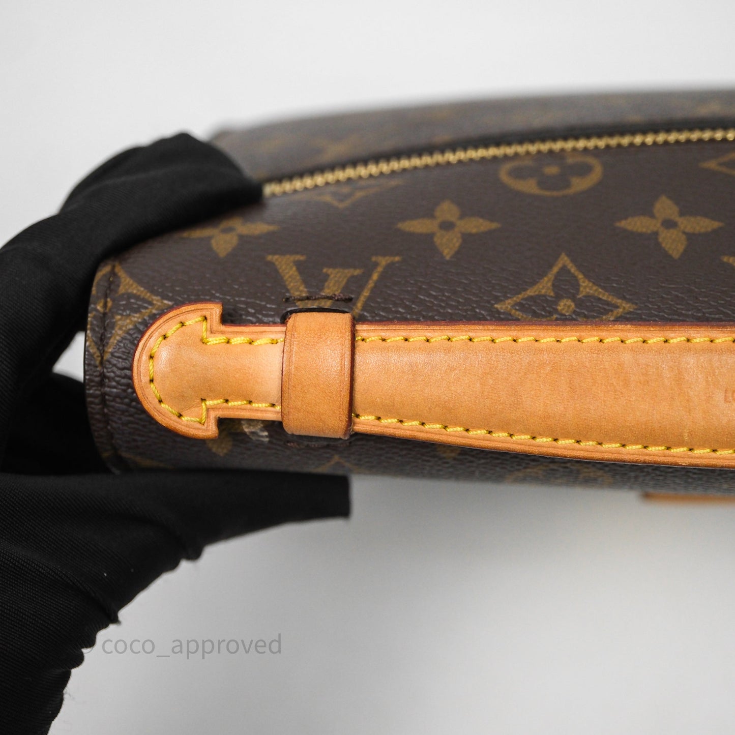 Louis Vuitton Pochette Metis Monogram