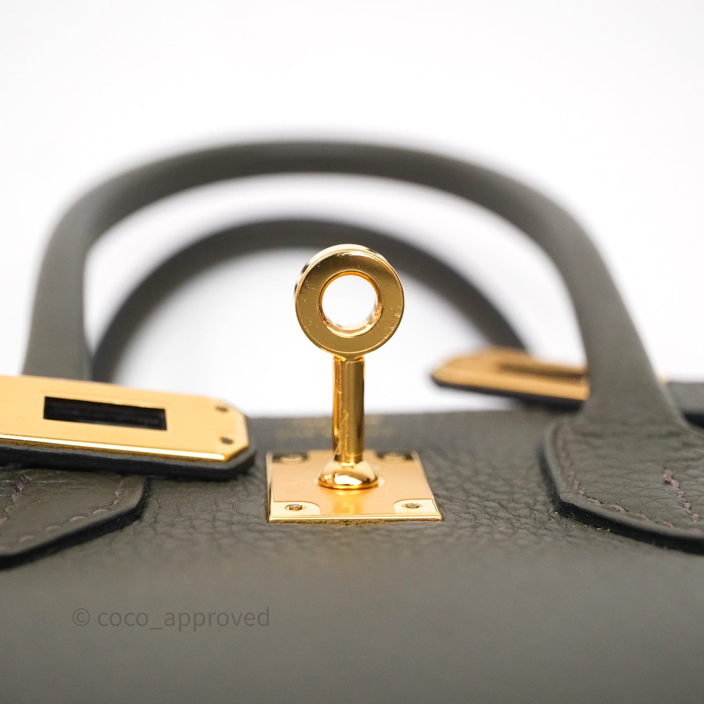 Hermès Birkin 25 Vert De Gris Togo Gold Hardware