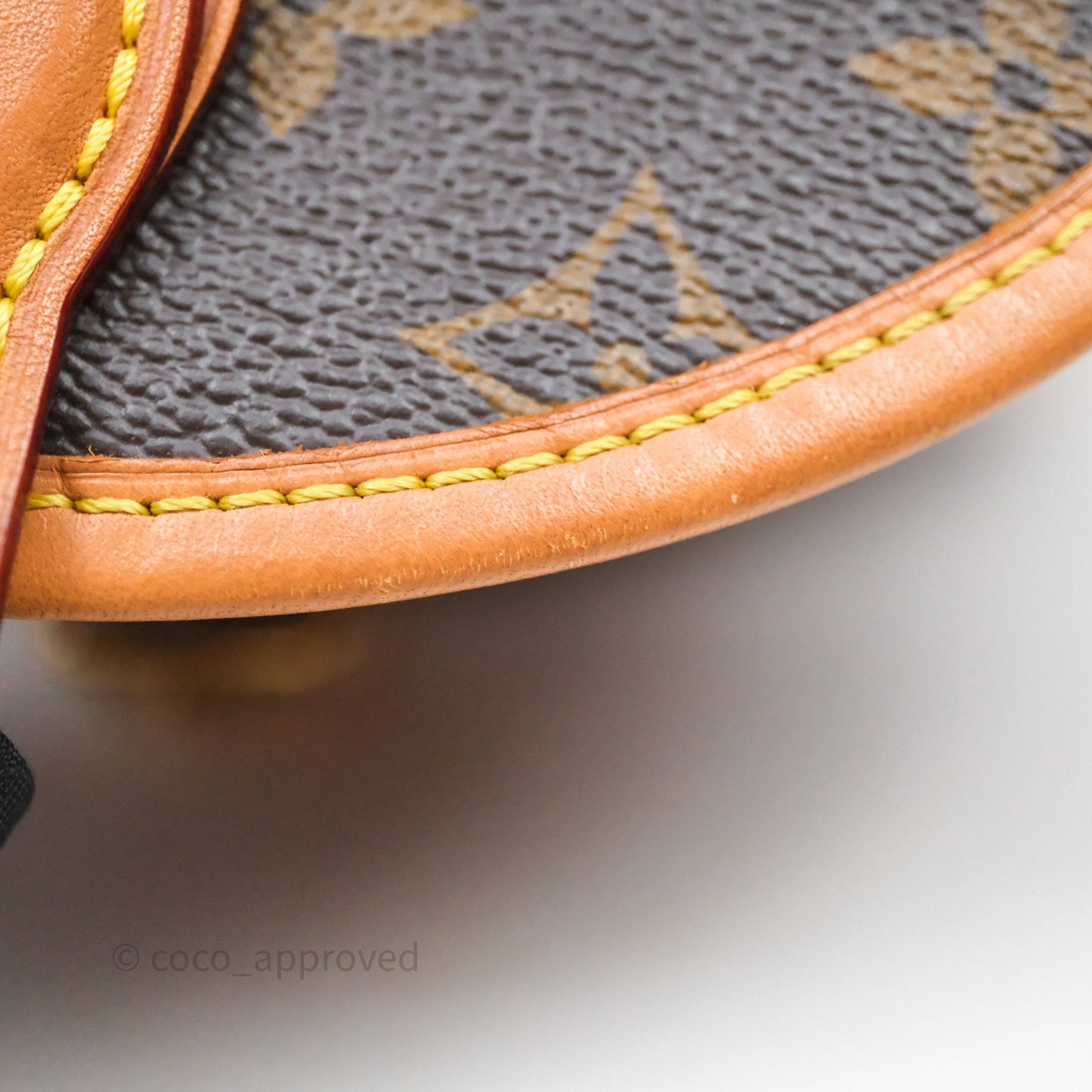 Louis Vuitton Tambourin Monogram Canvas Bag