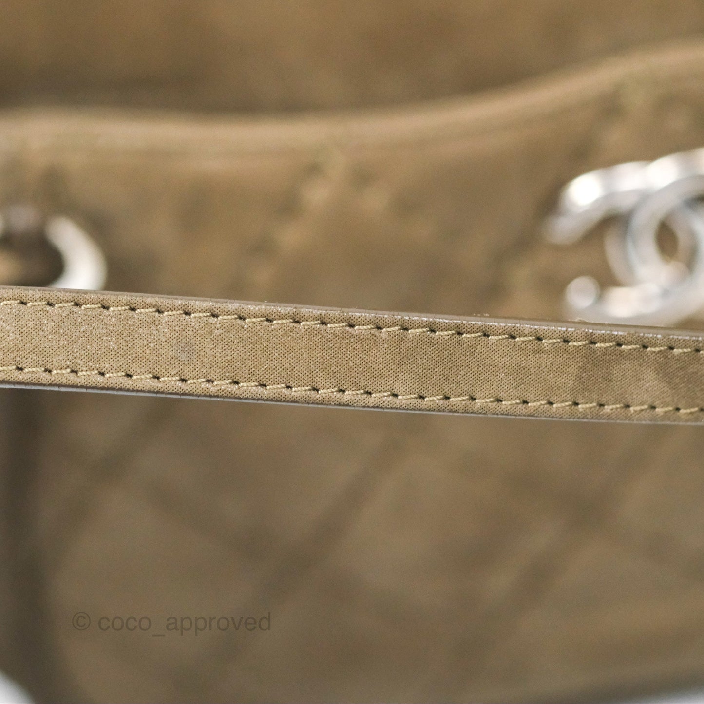 Chanel Quilted Camera Case Bag Iridescent Taupe Calfskin Silver Hardware