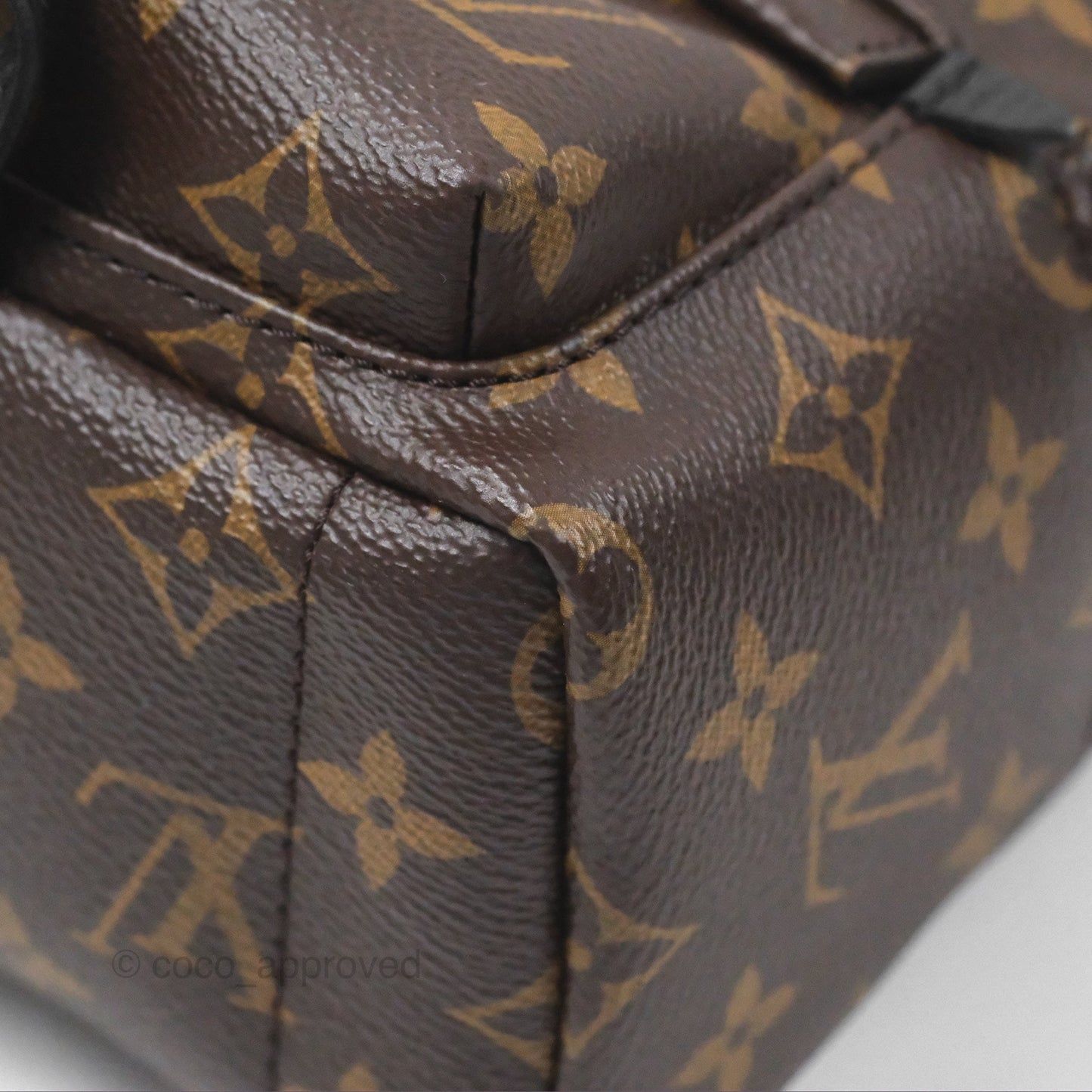 Louis Vuitton Monogram Mini Palm Springs Backpack⁣