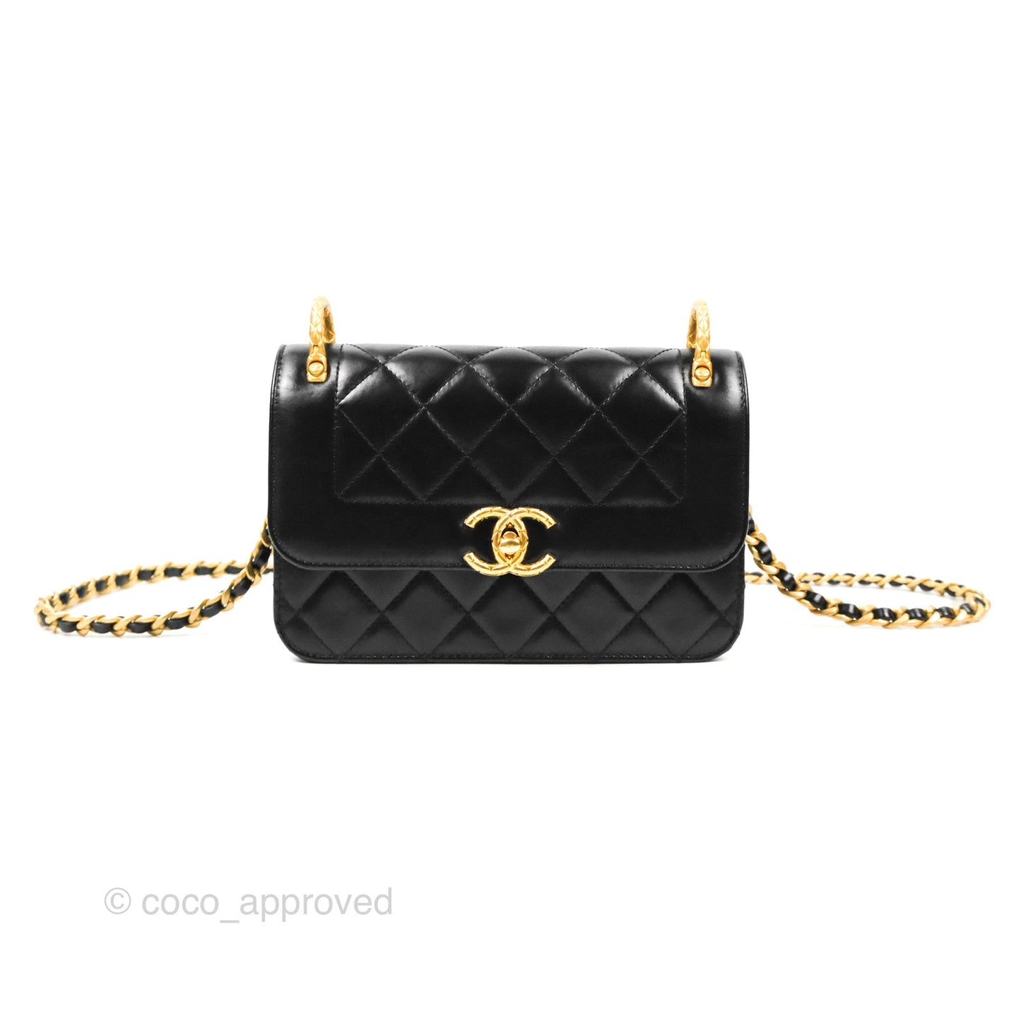 Chanel Mini Diana Flap Bag Black Calfskin Aged Gold Hardware 21B