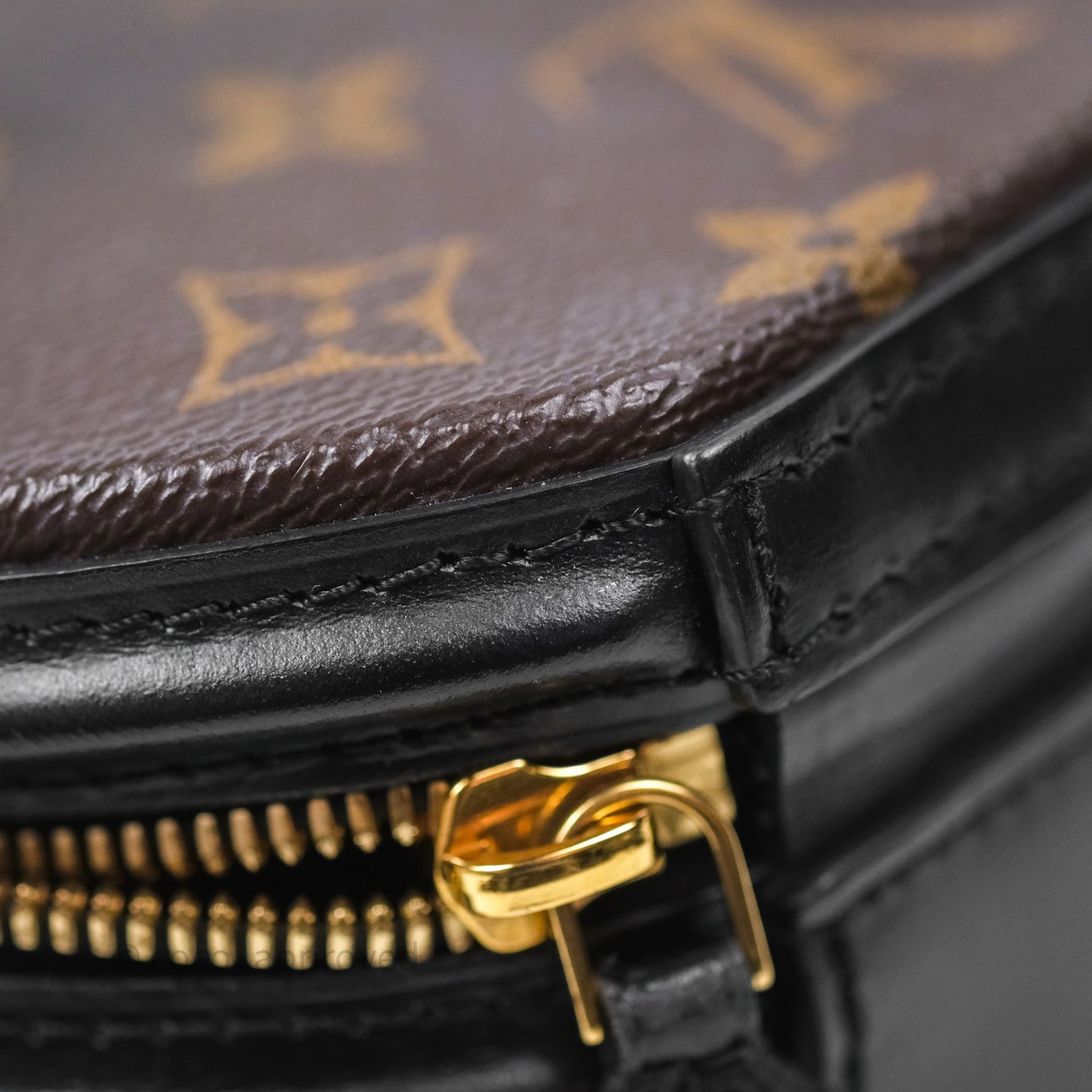 Louis Vuitton Monogram Canvas Reverse Cannes Bag