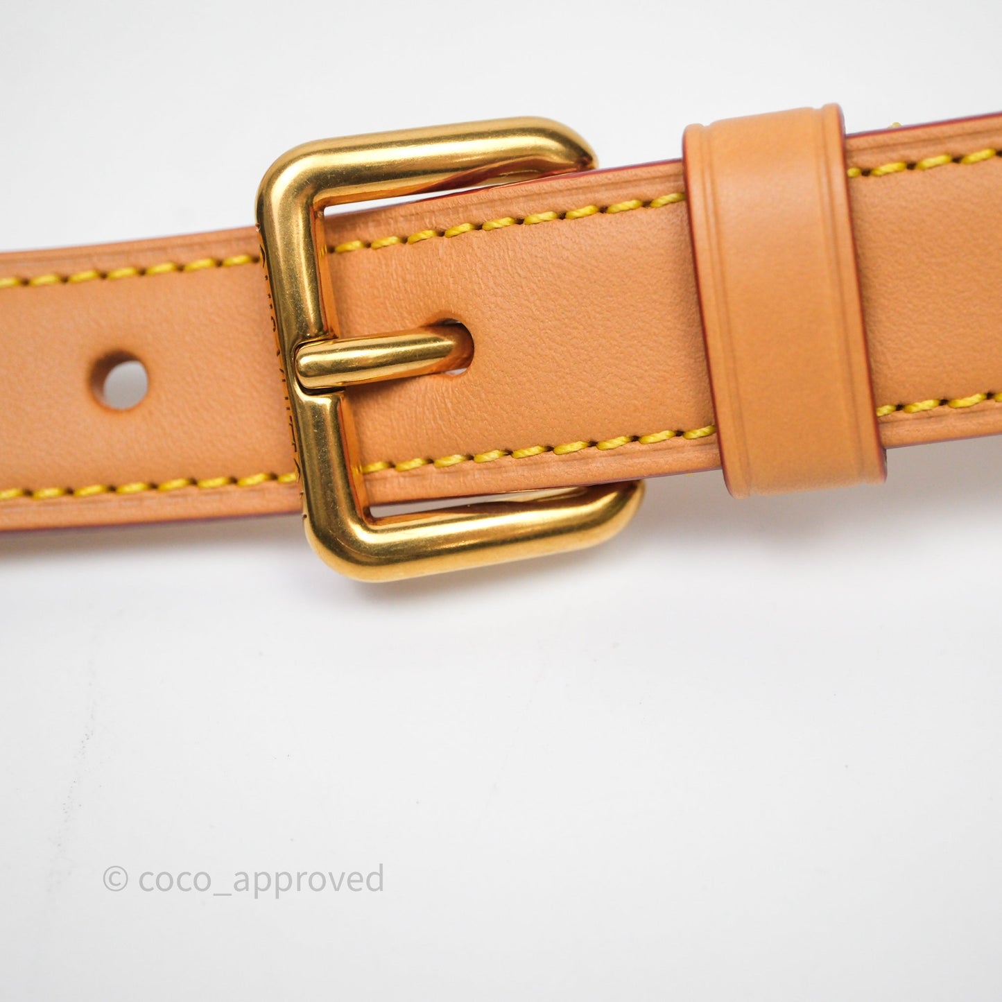 Louis Vuitton Speedy P9 Bandouliere 30 Vert Clair Bag