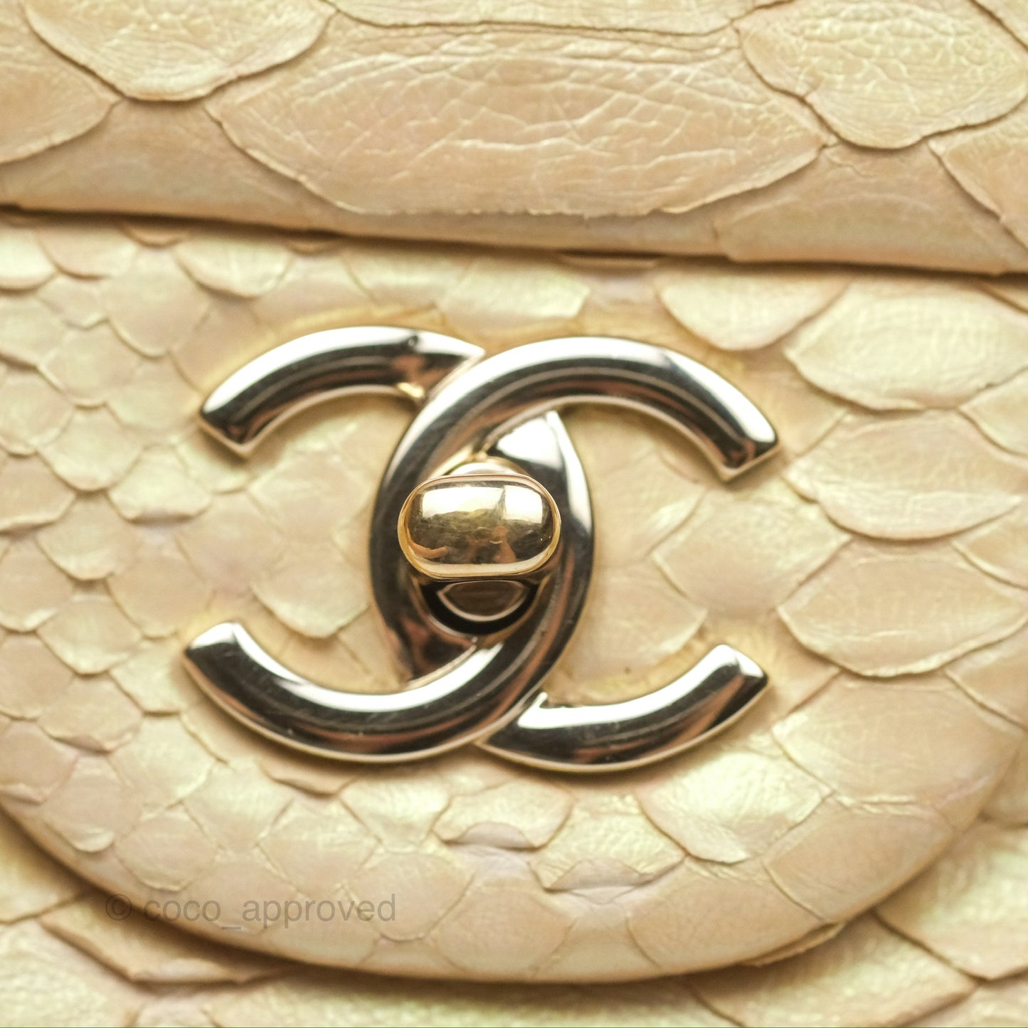 Chanel Jumbo Double Flap Iridescent Gold Python Gold Hardware⁣⁣