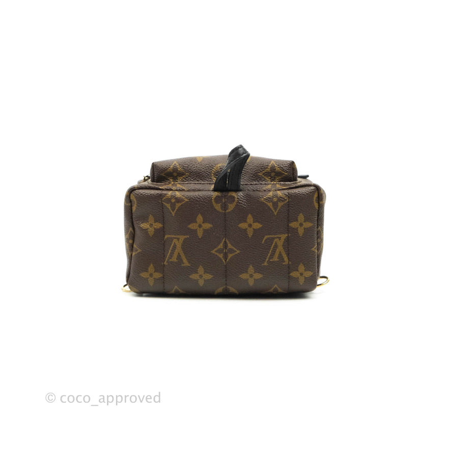 Louis Vuitton Mini Palm Springs Monogram Canvas Backpack⁣