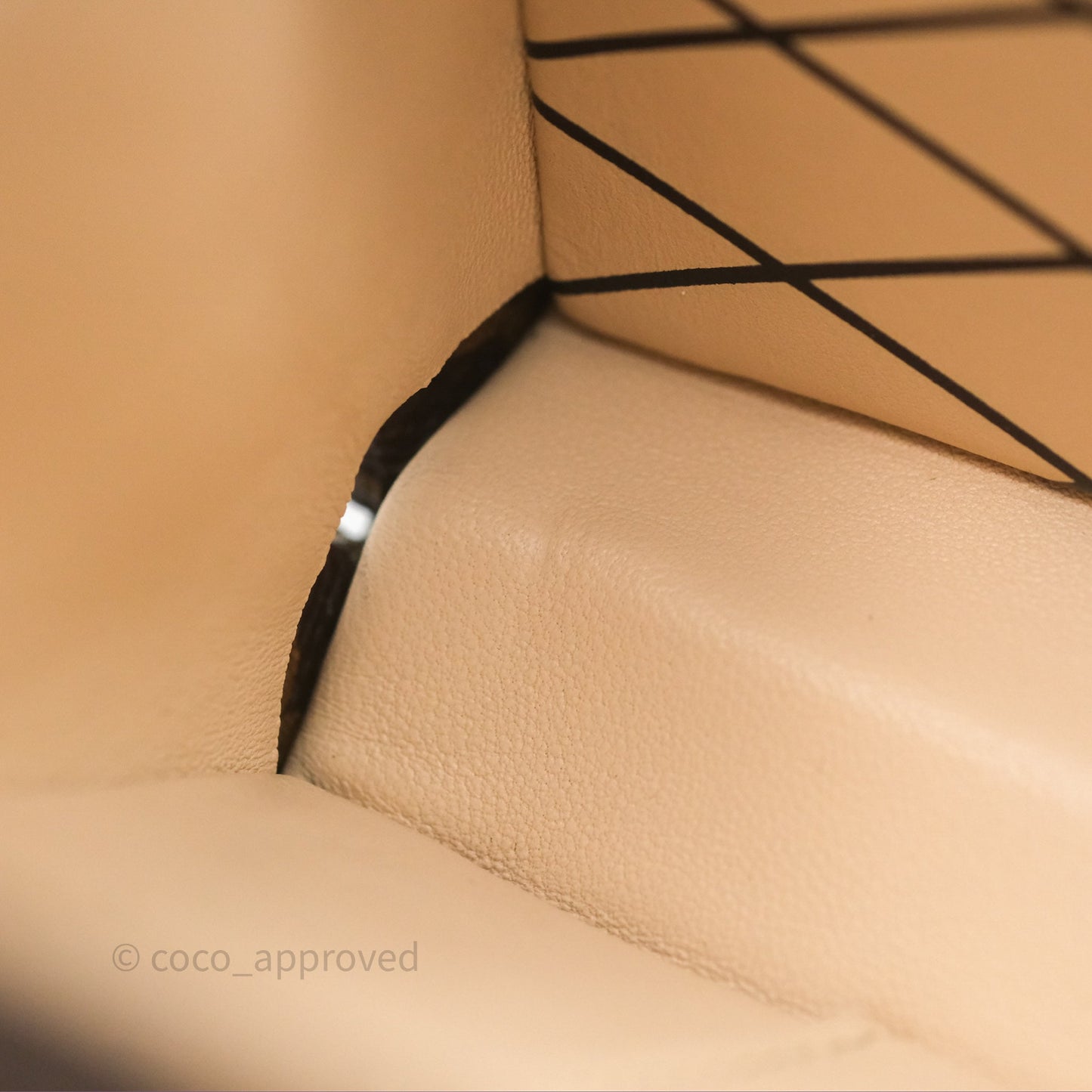 Louis Vuitton Monogram Petite Malle
